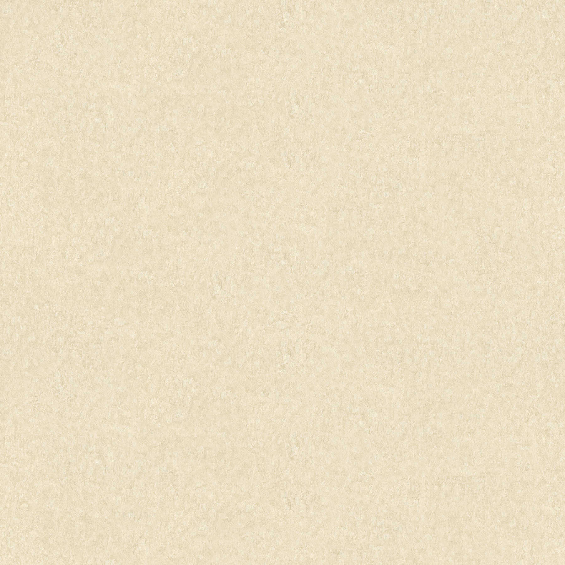             Plain premium wallpaper matt - beige
        