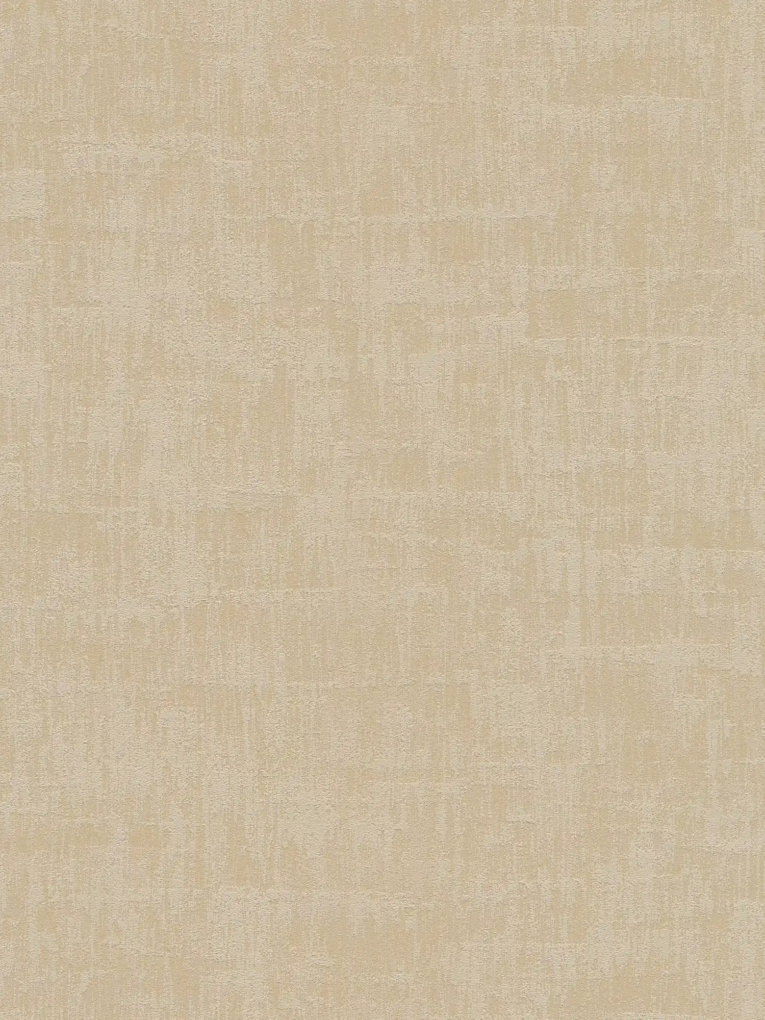 Papel pintado con motivos abstractos de rafia en colores suaves - beige, topo
