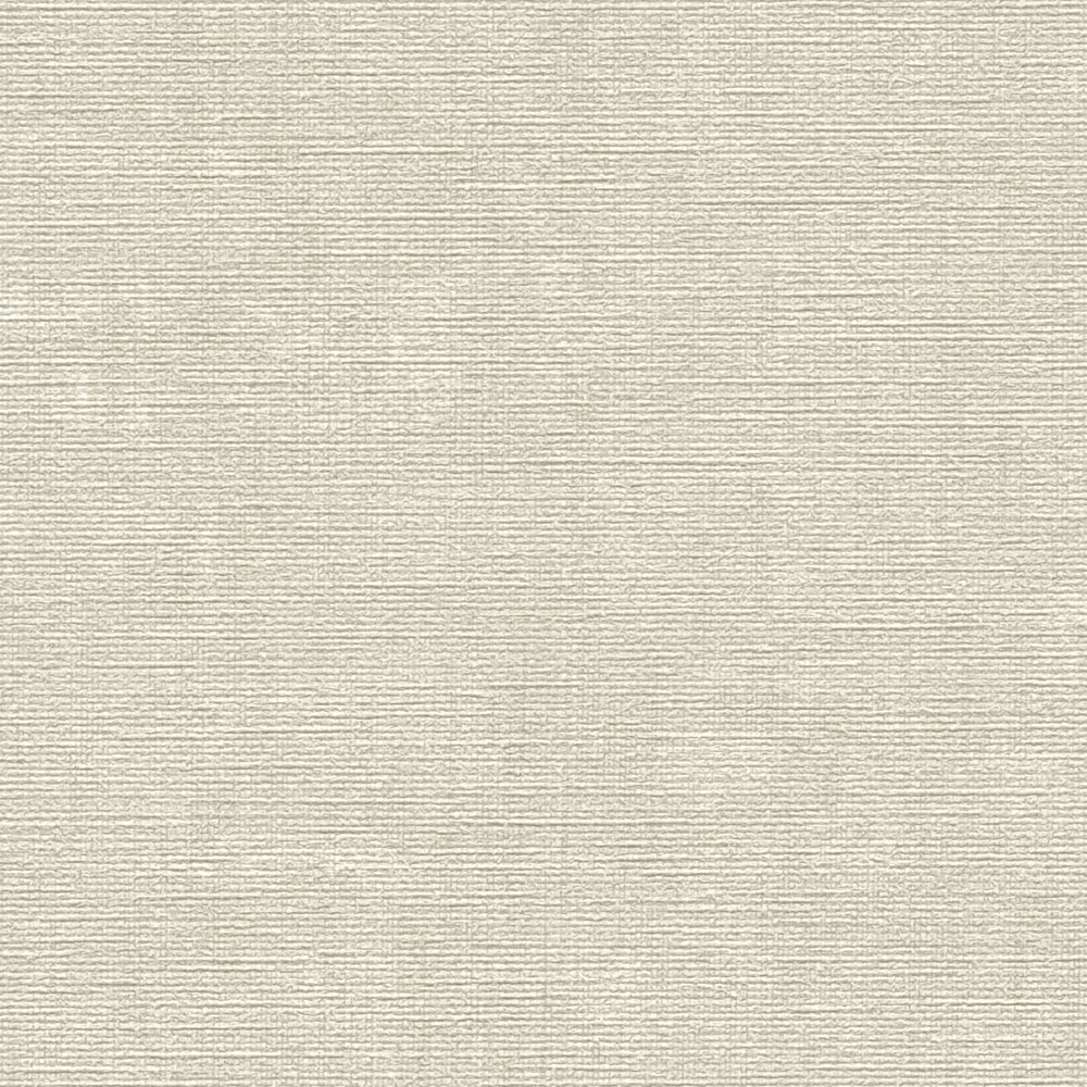            Carta da parati in tessuto non tessuto a tinta unita con effetto strutturato - grigio, beige
        