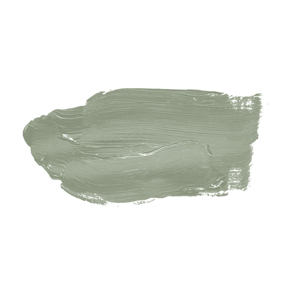             Wall Paint TCK4004 »Sane Sage« in friendly sage – 5.0 litre
        