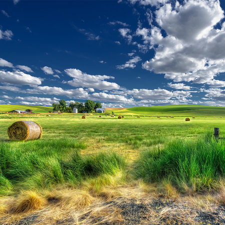        Photo wallpaper green pasture with hay bales in summer
    