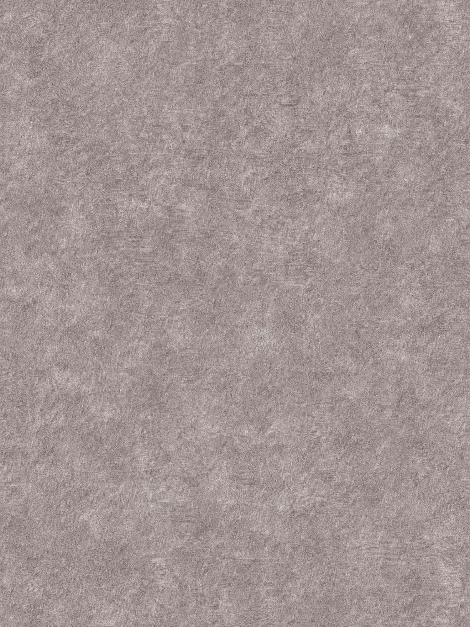 Non-woven wallpaper plains with concrete look and structure - grey
