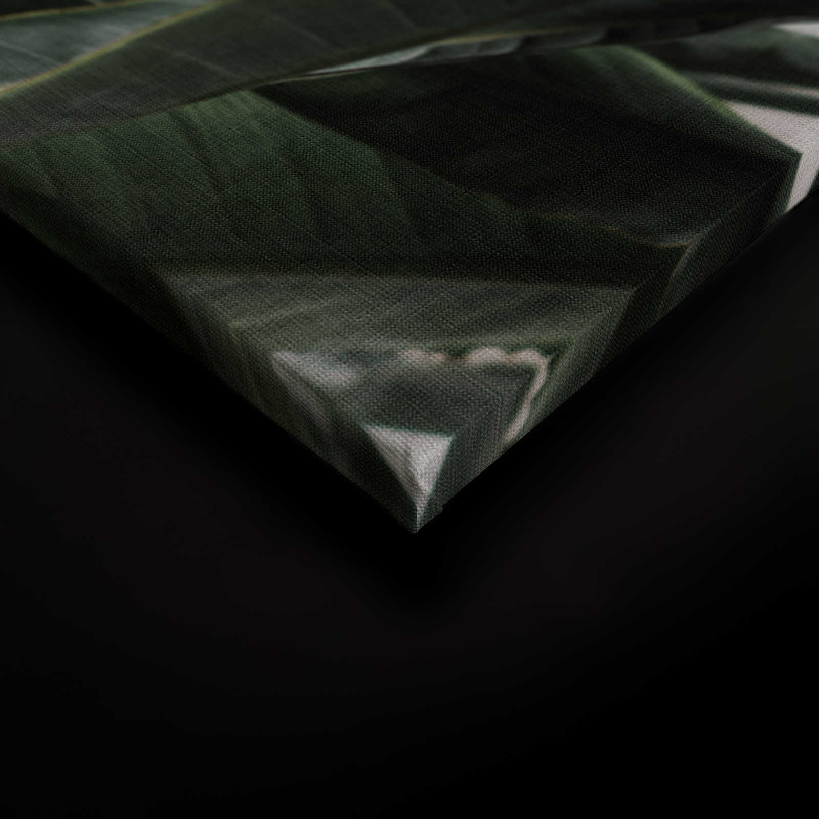             Giungla urbana 2 - Quadro su tela con foglie di palma, struttura in lino naturale piante esotiche - 0,90 m x 0,60 m
        