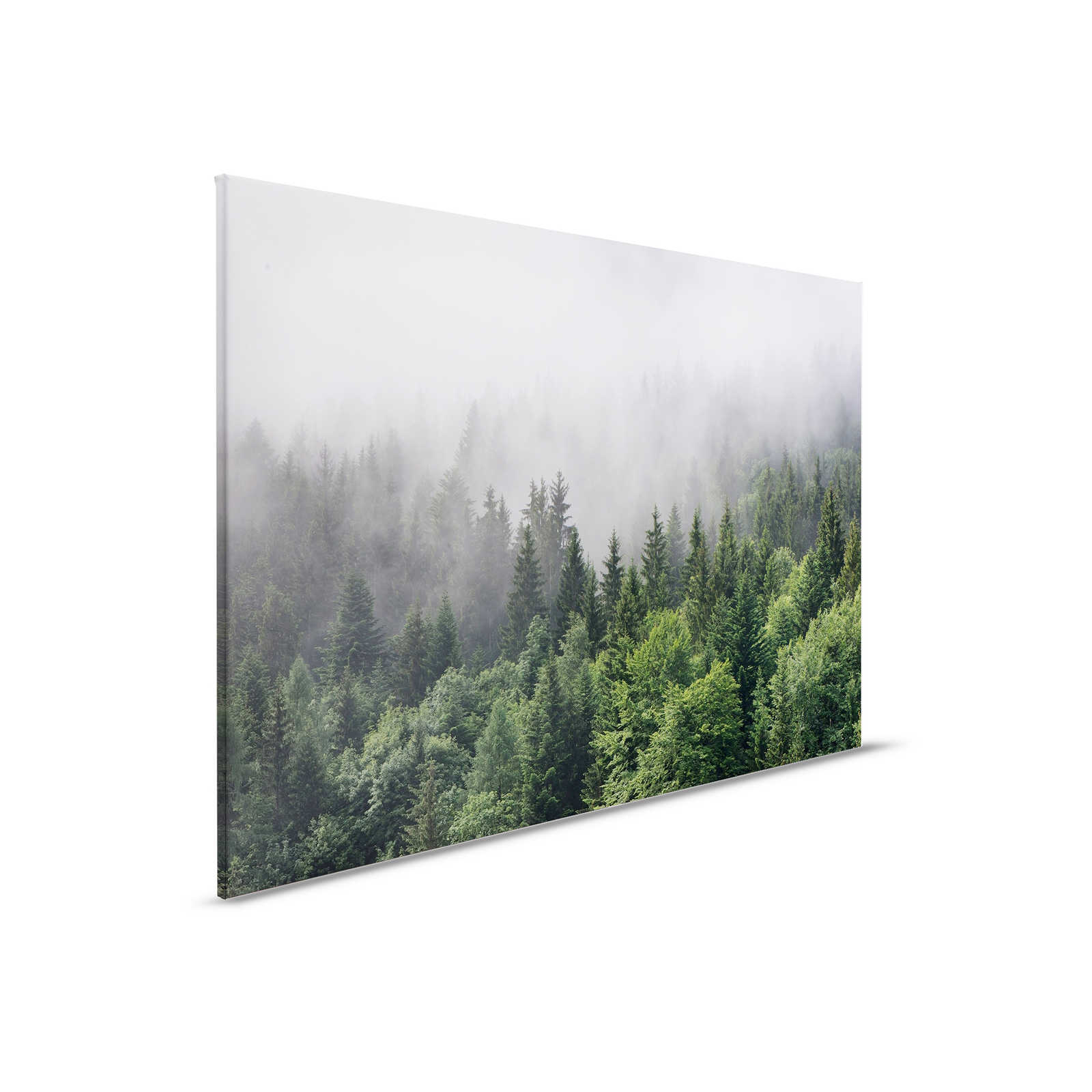         Canvas with forest from above on a foggy day - 0.90 m x 0.60 m
    