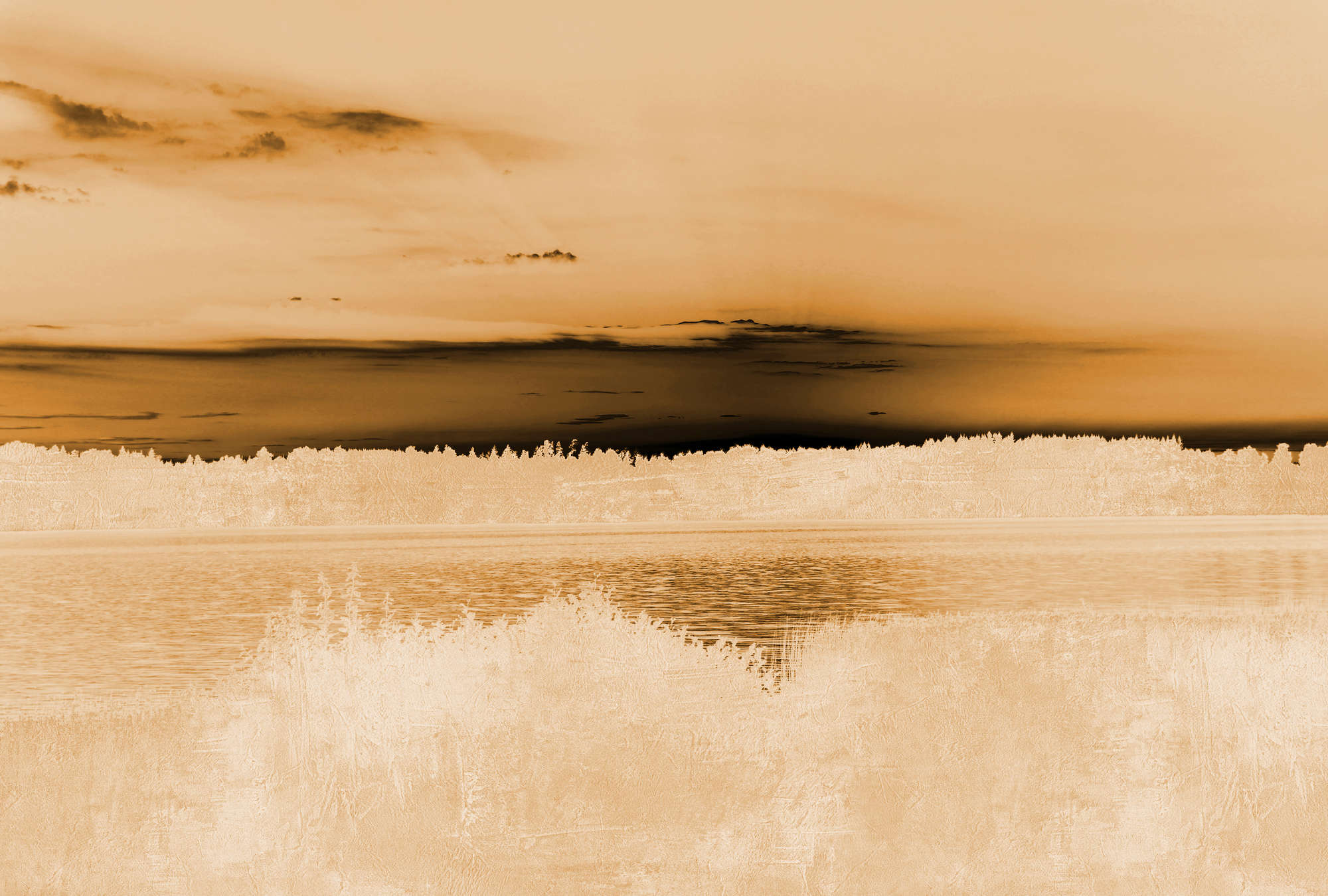             Papel Pintado Paisaje, Vista del Lago y Cielo Nublado - Naranja, Beige, Negro
        