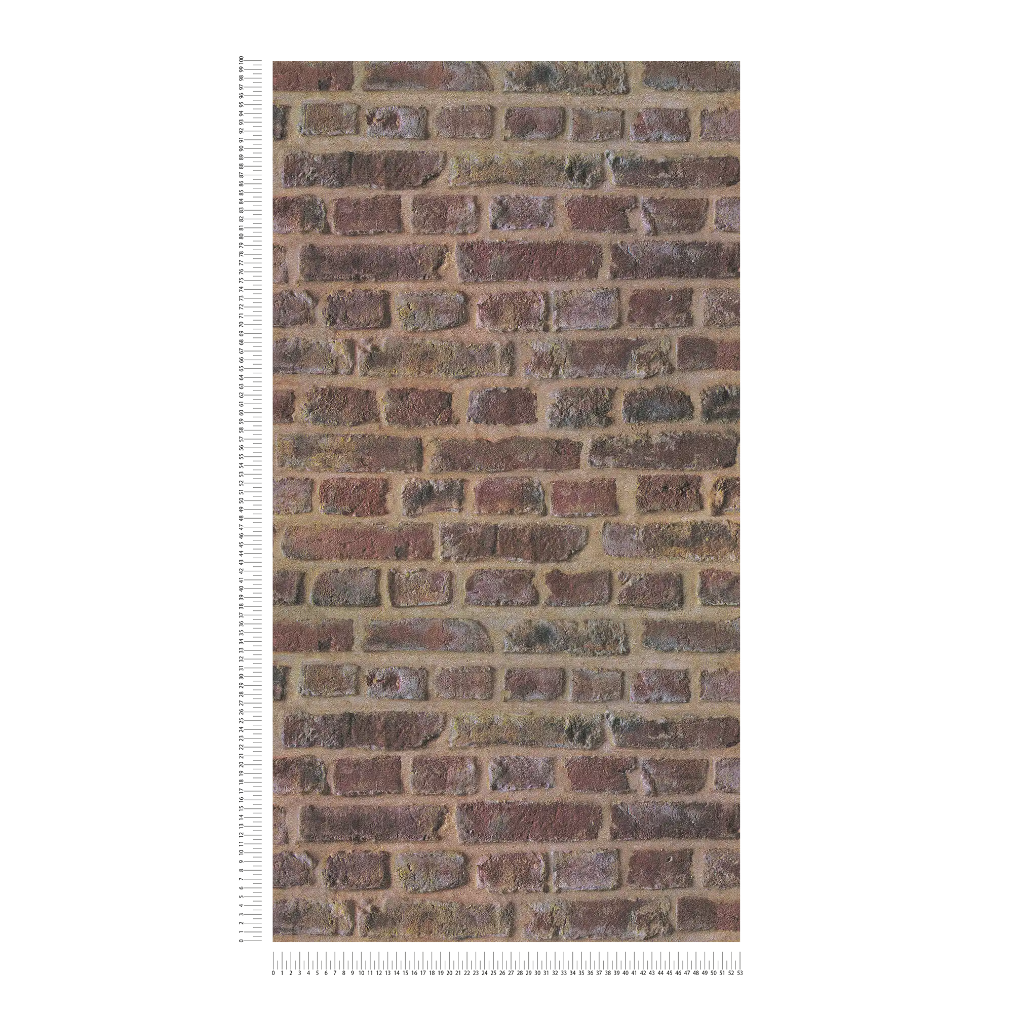             Carta da parati muro di mattoni design 3D aspetto pietra - marrone, rosso, beige
        