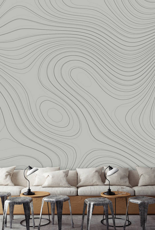             Topographic photo wallpaper with line pattern - grey
        