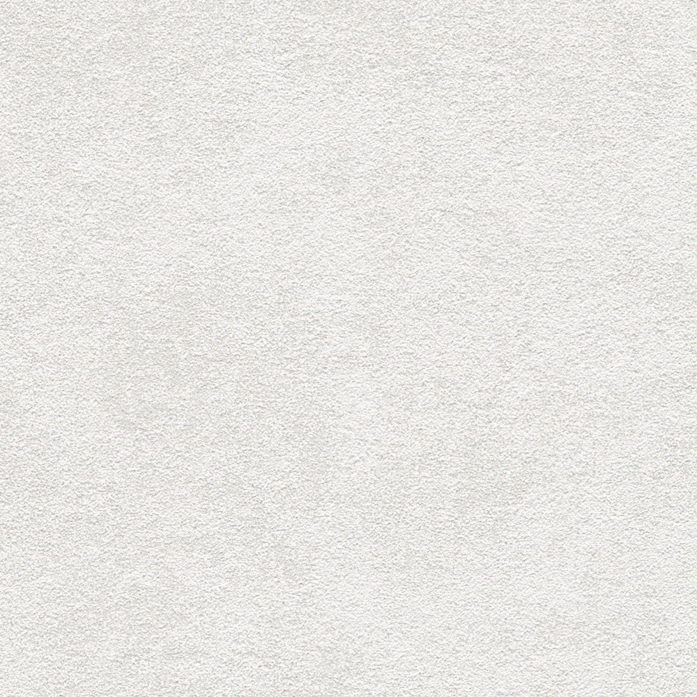             Carta da parati liscia grigio chiaro sfumato con struttura in rilievo
        