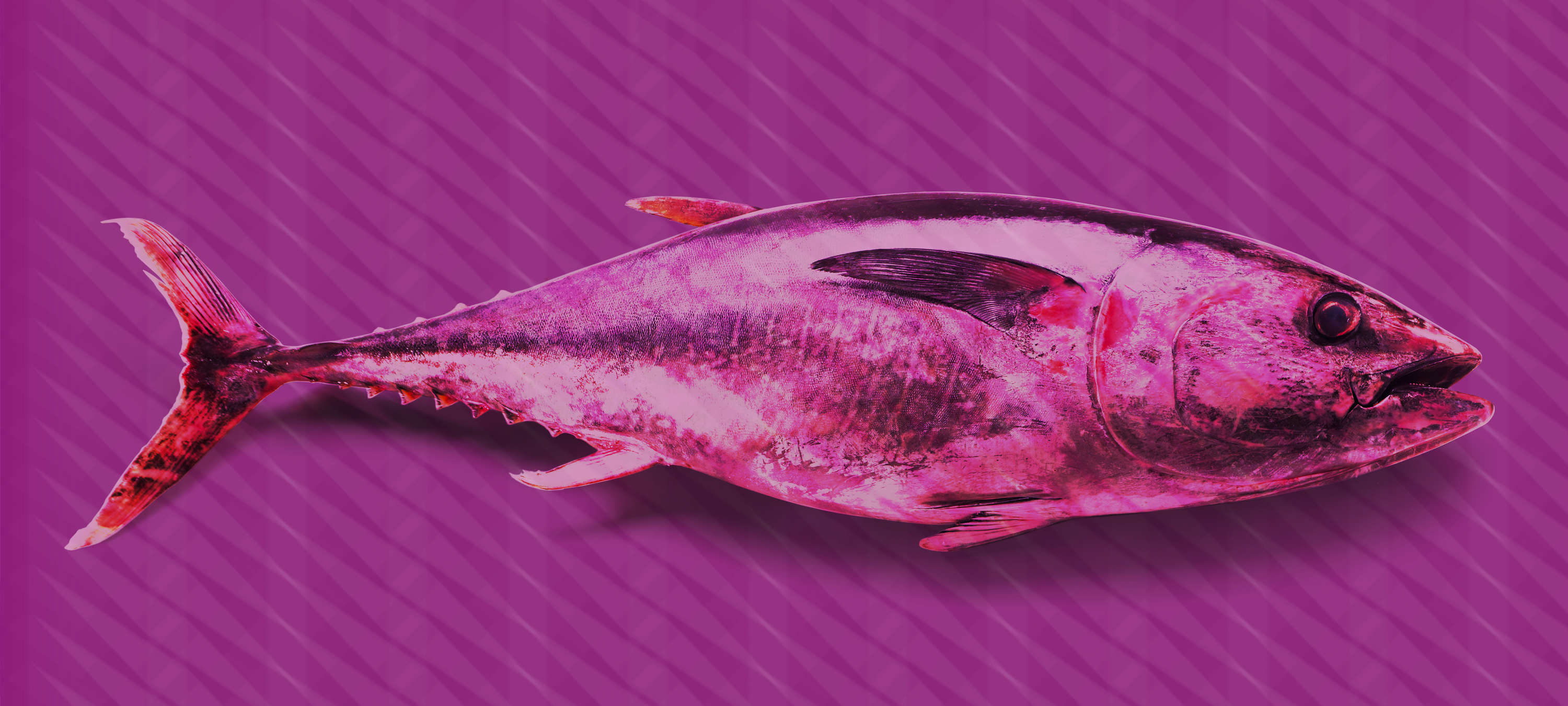             Pop art style tuna mural - purple, pink, red
        