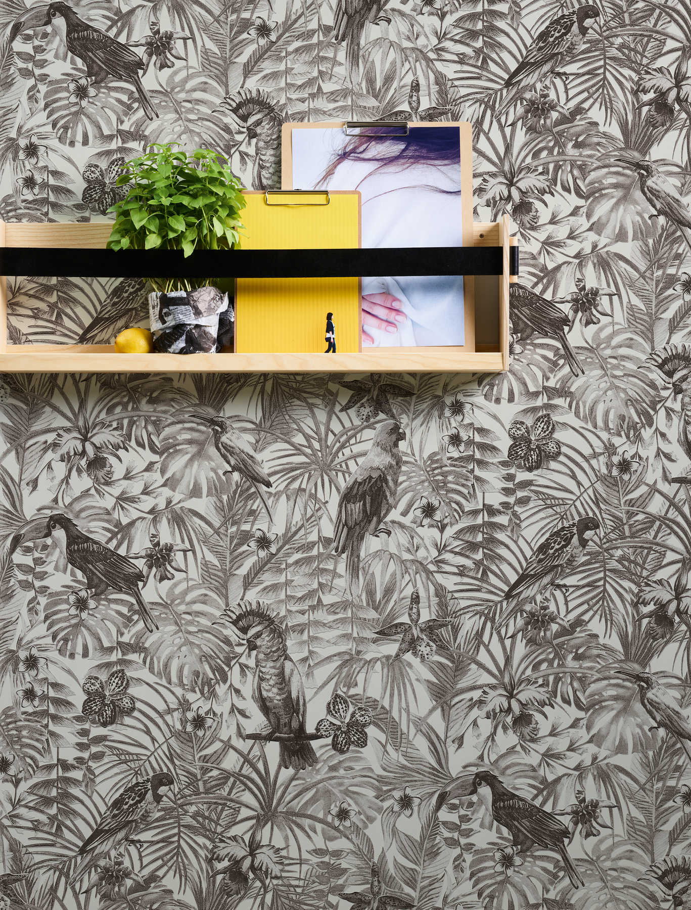             Exotic wallpaper tropical birds, flowers & leaves - black, white, grey
        