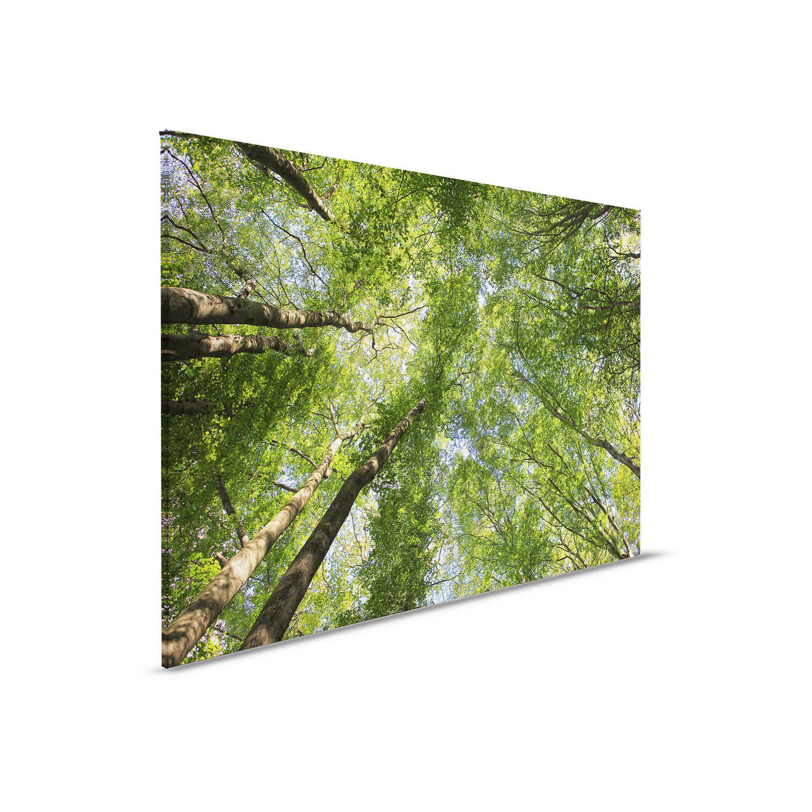 Toile de la canopée avec les cimes des arbres de la forêt de feuillus - 0,90 m x 0,60 m
