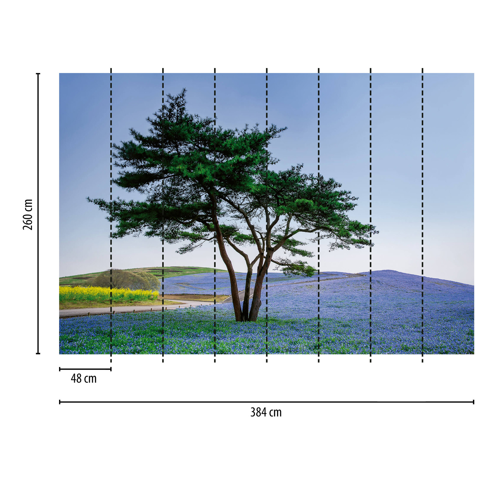             Fotomurali Paesaggio in Giappone con albero
        