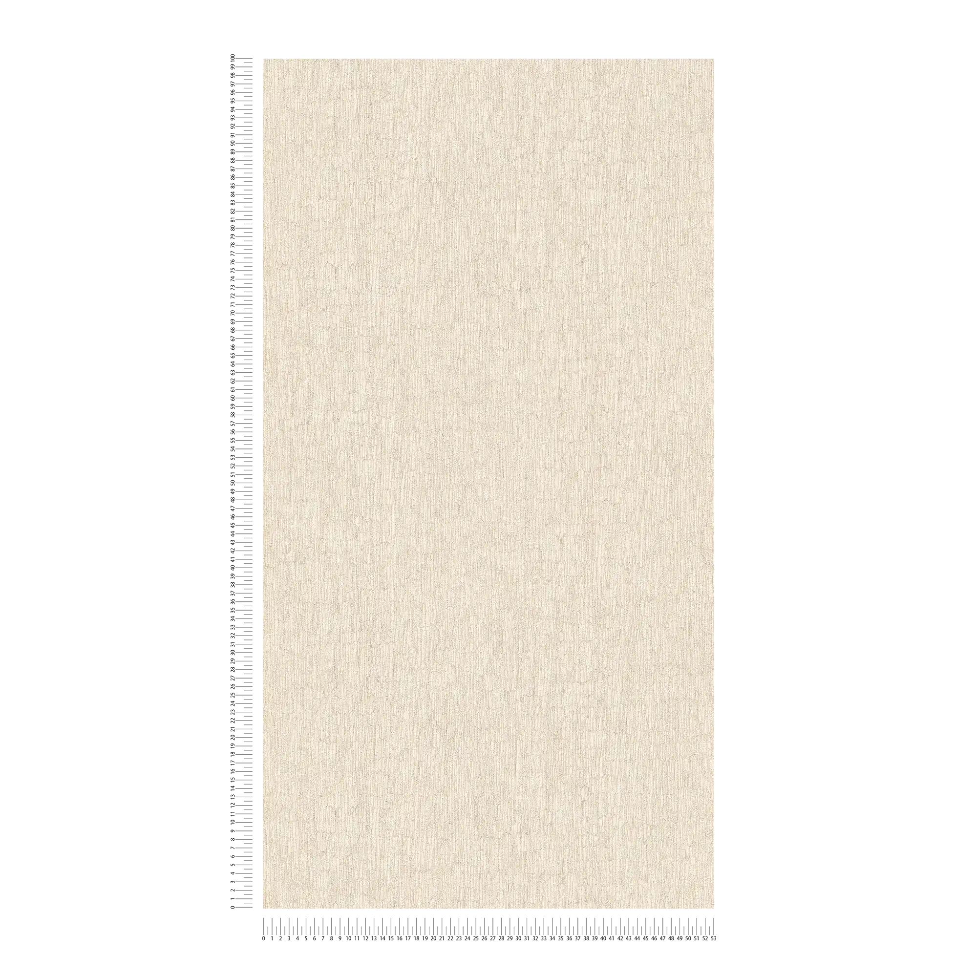             Carta da parati non tessuta effetto gesso, leggermente strutturata - beige, crema, argento
        