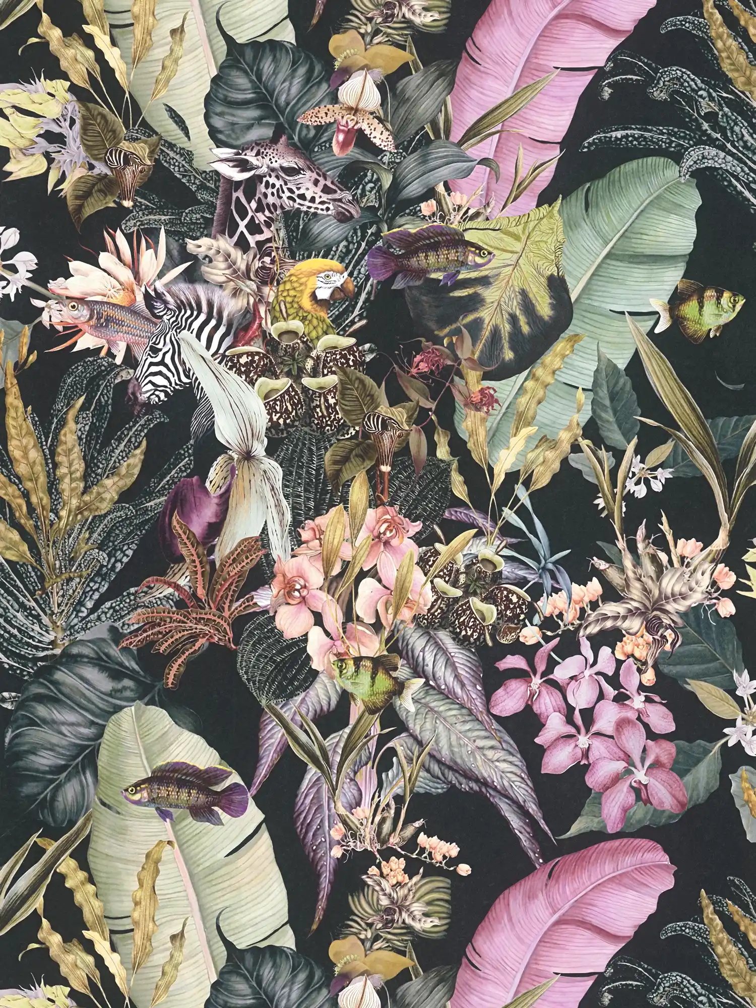             Flora & Fauna floral wallpaper with black background
        