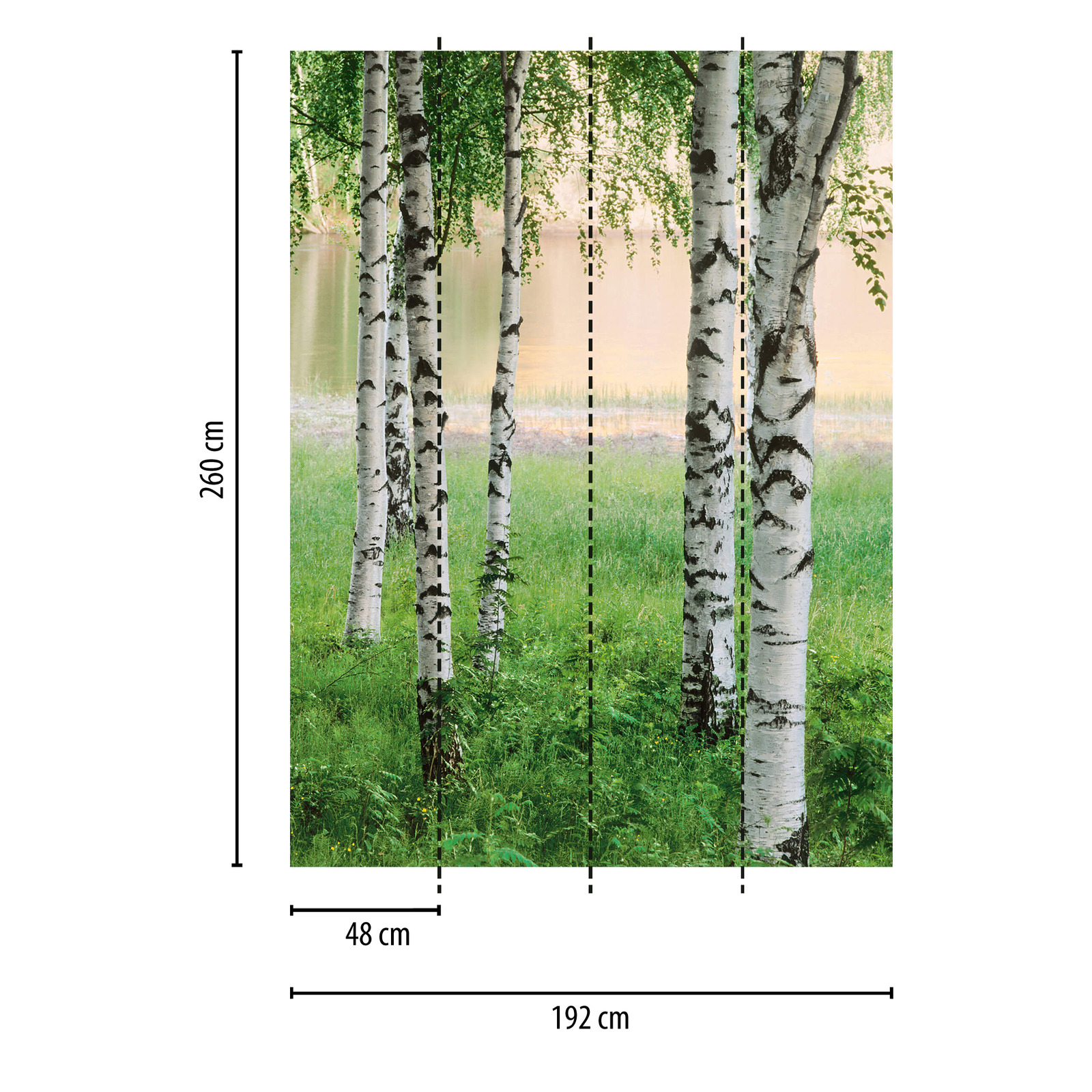             Birch forest photo wallpaper trees by the lake, portrait format
        