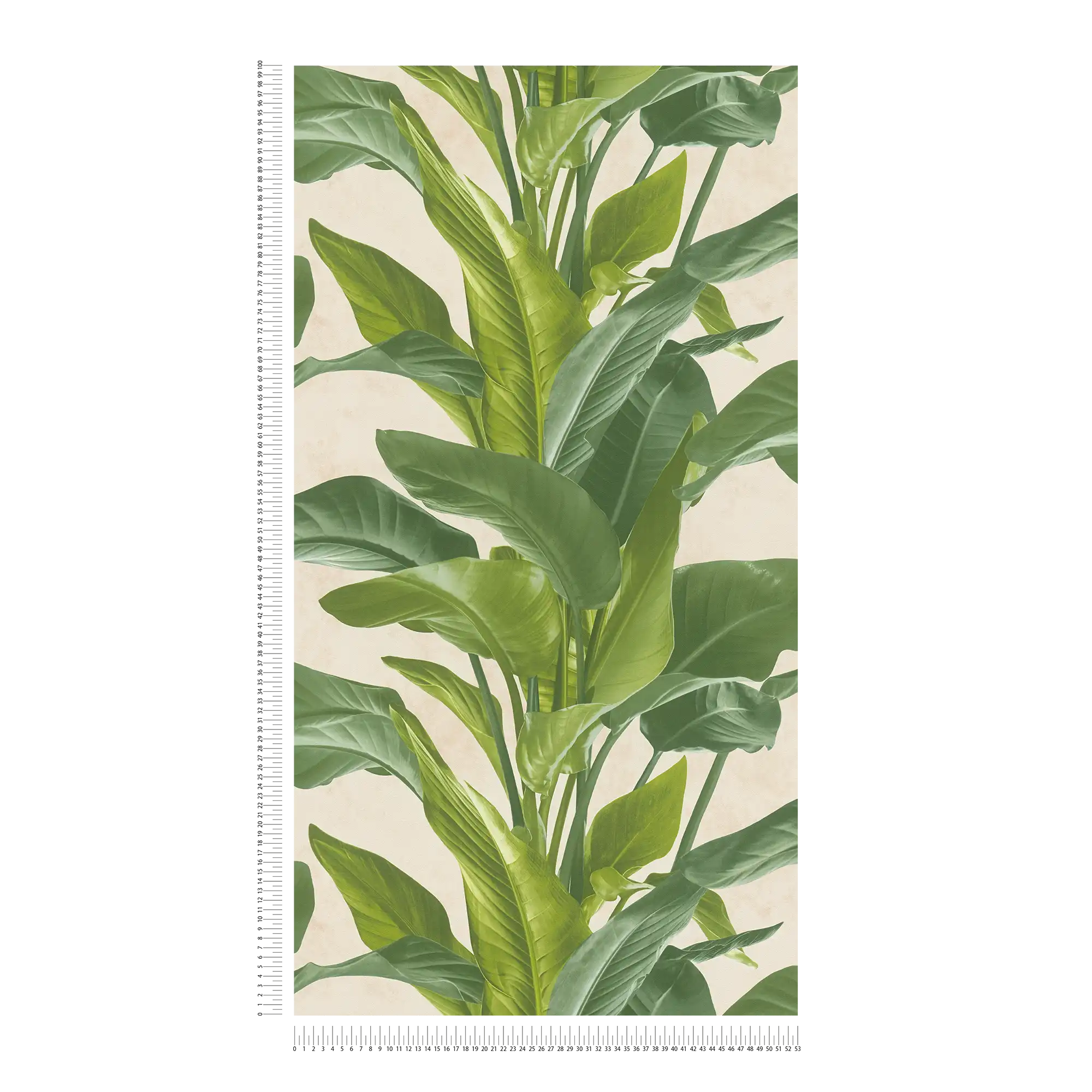             Non-woven wallpaper with modern leaves design - cream, green
        