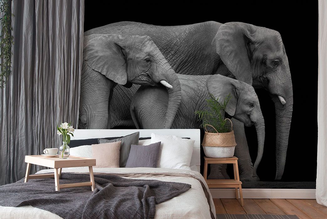 Elephants Wallpaper DD102224