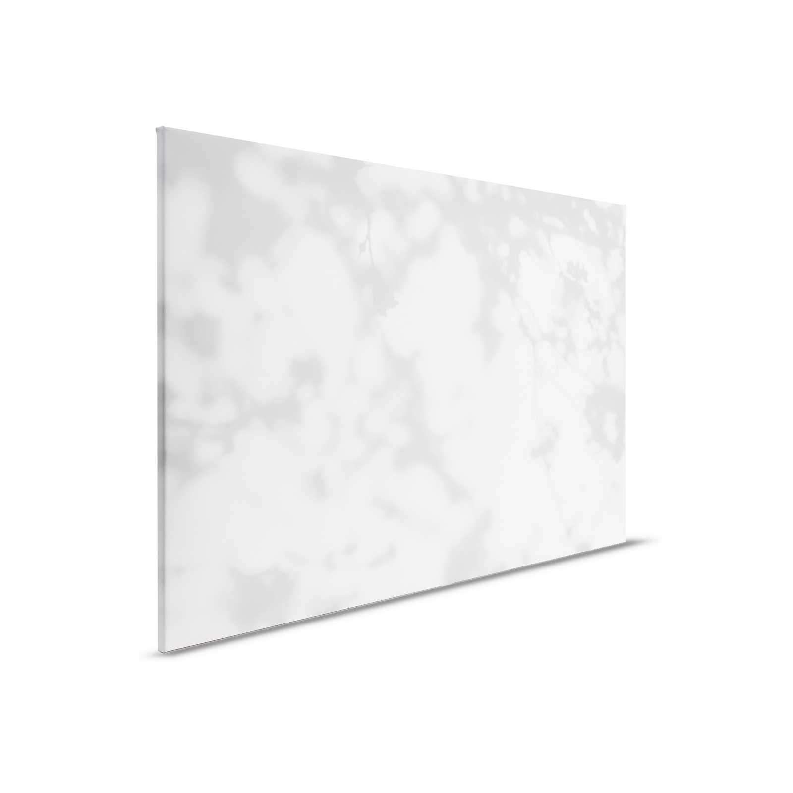 Camera chiara 1 - Quadro su tela Ombre della natura in grigio e bianco - 0,90 m x 0,60 m
