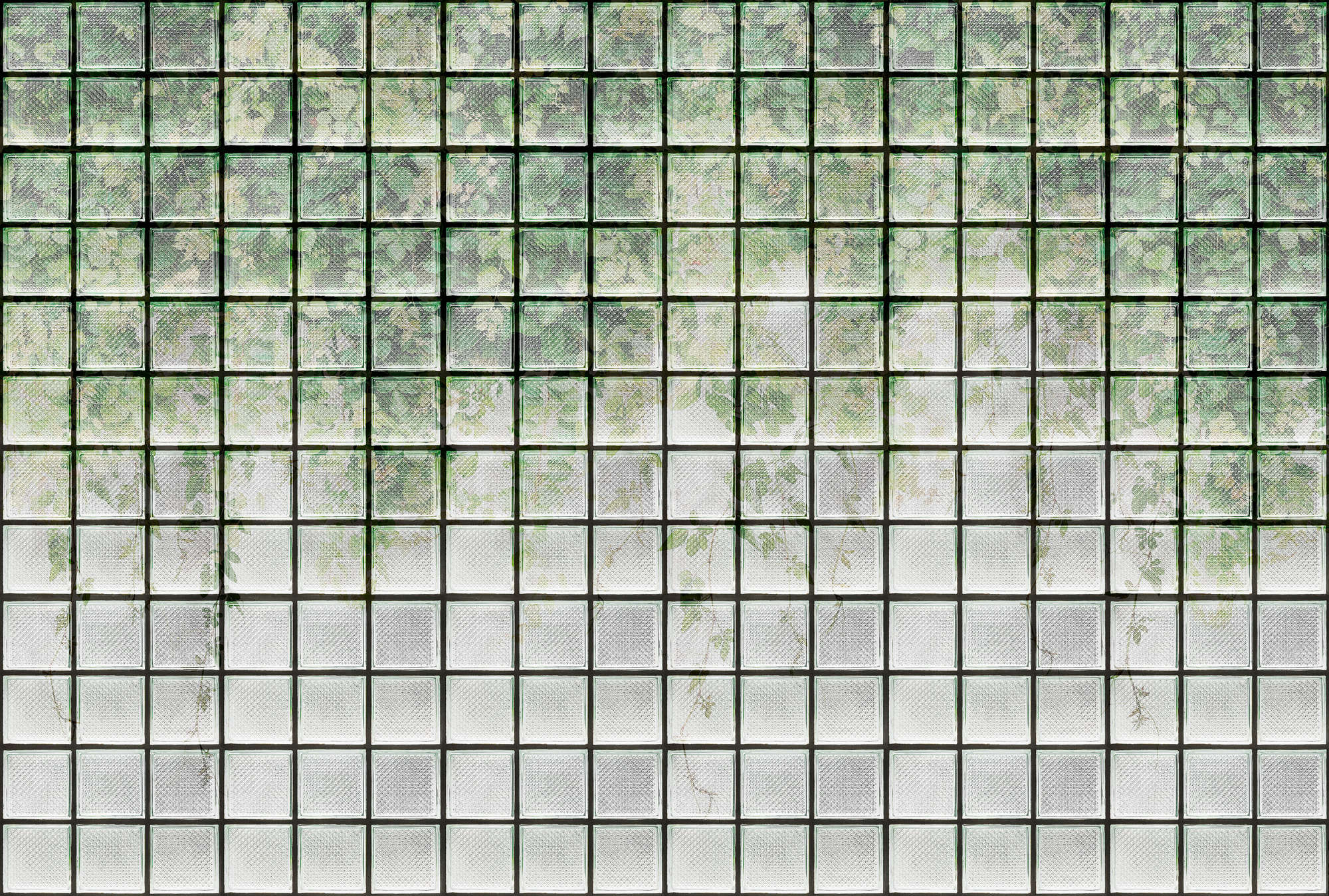             Green House 2 - Greenhouse photo wallpaper leaves & glass blocks
        