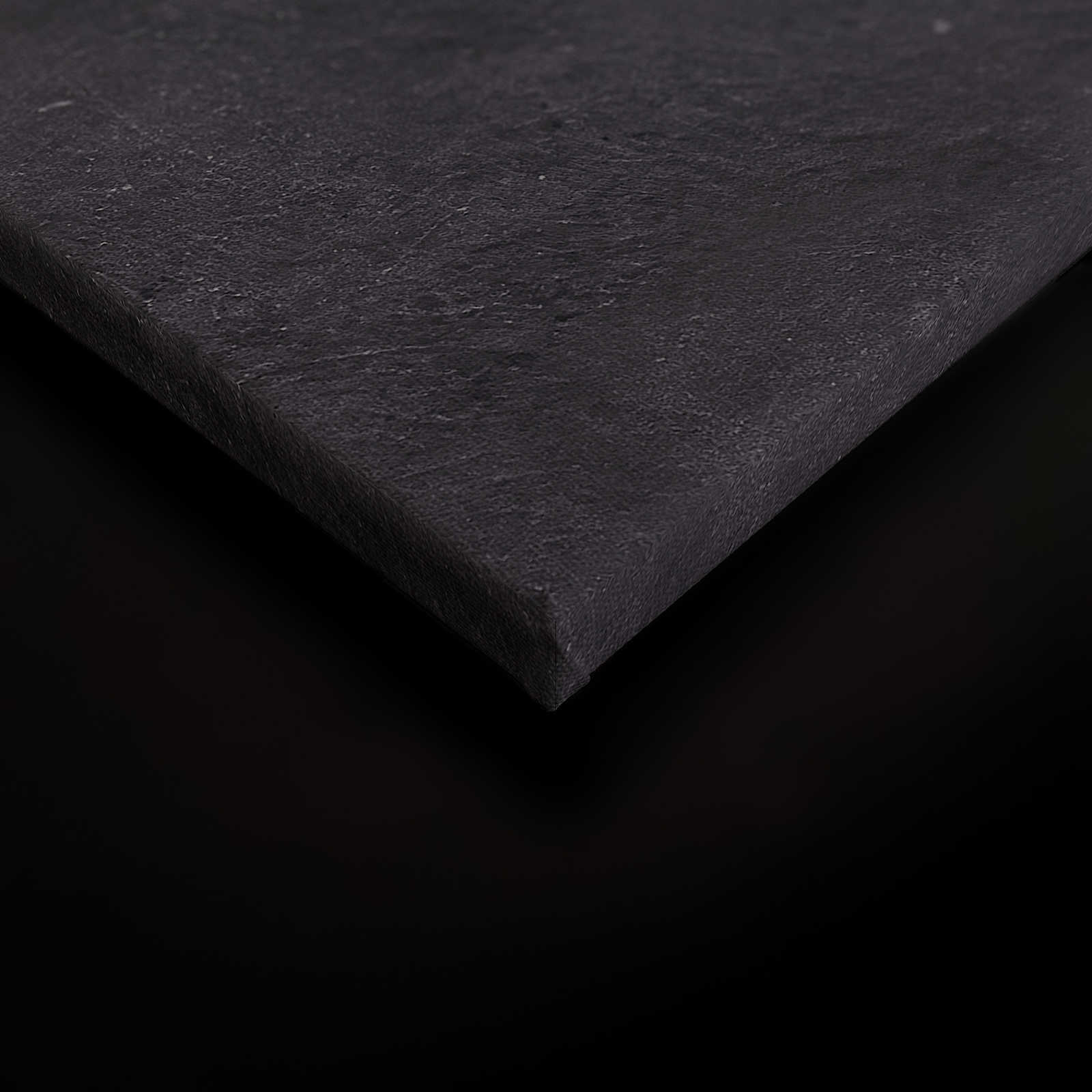             Zwart canvas schilderij Panter met vliegenierspet - 0.90 m x 0.60 m
        