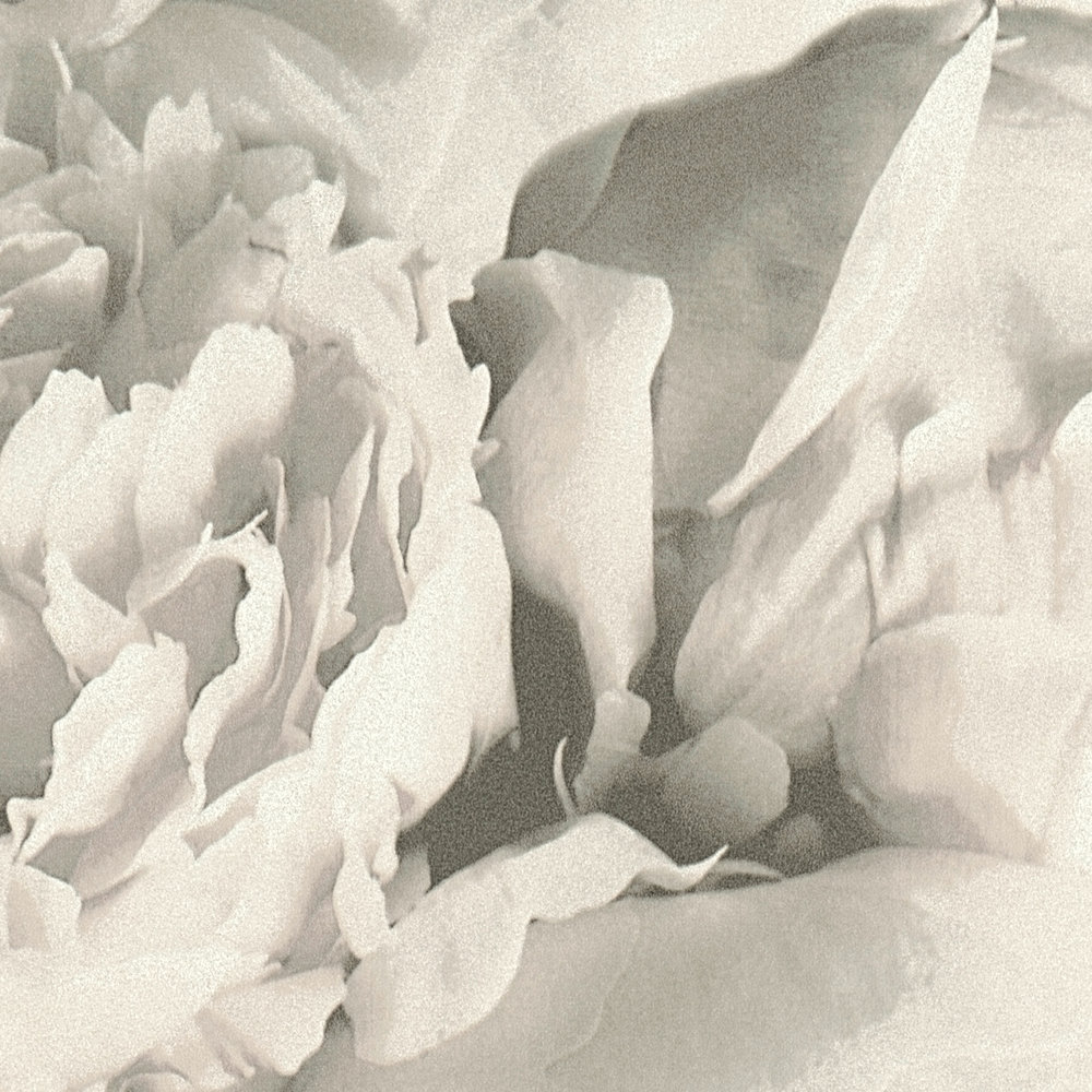             Papel pintado floral rosas con efecto brillo - beige, crema, gris
        