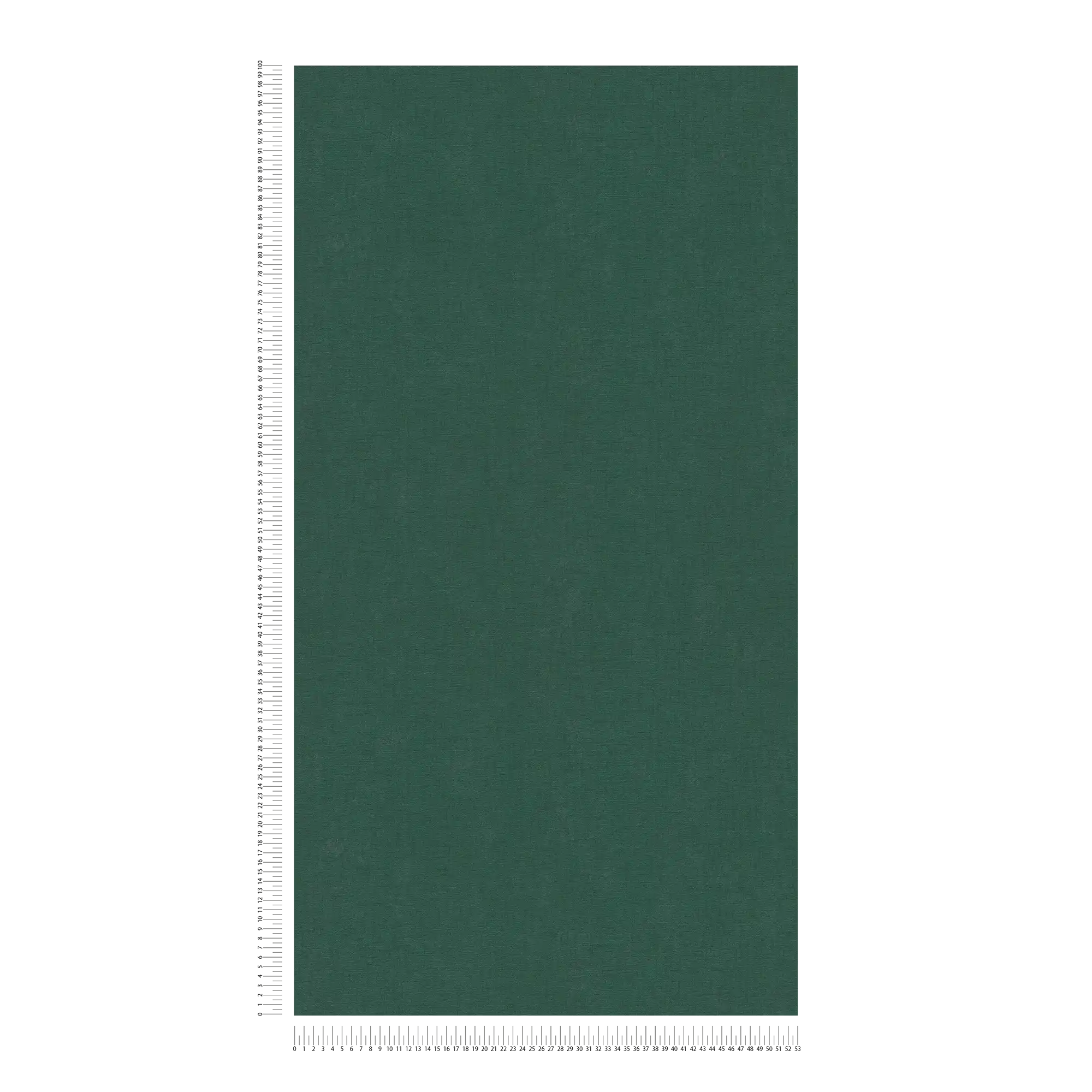             Eenkleurig vliesbehang met een lichte textuur - groen, donkergroen
        