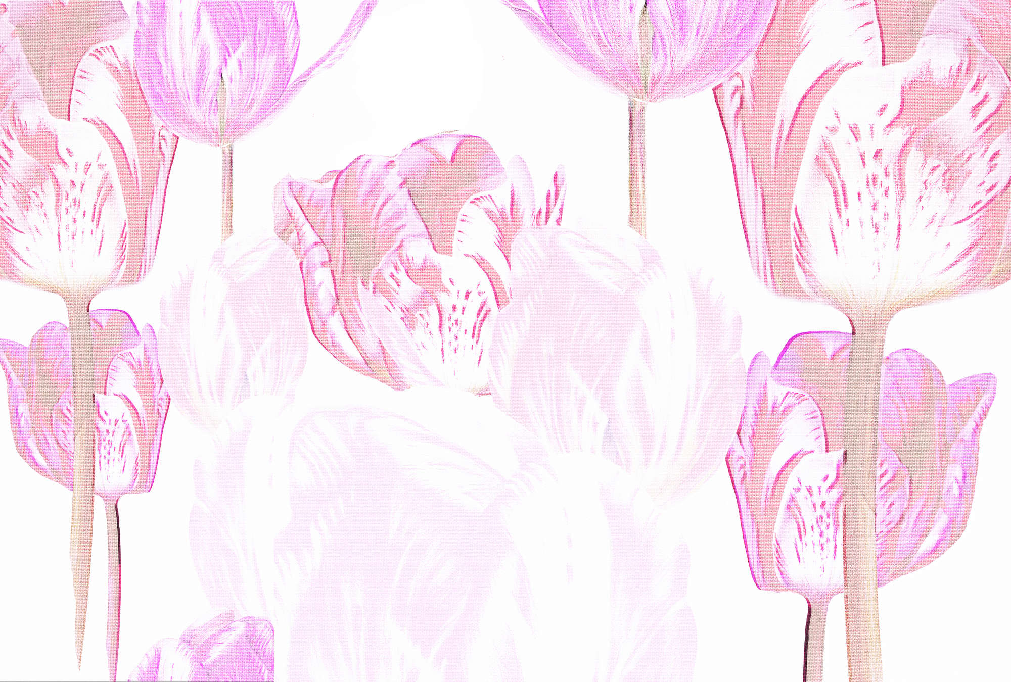             Papier peint Tulipes, fleurs stylisées en format XXL - rose, blanc
        
