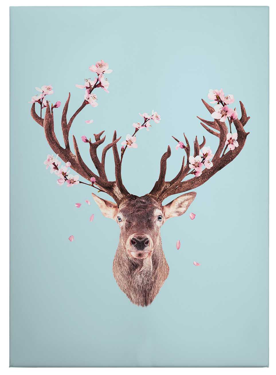             Quadro su tela sciolto Cervo con fiori di ciliegio - 0,50 m x 0,70 m
        