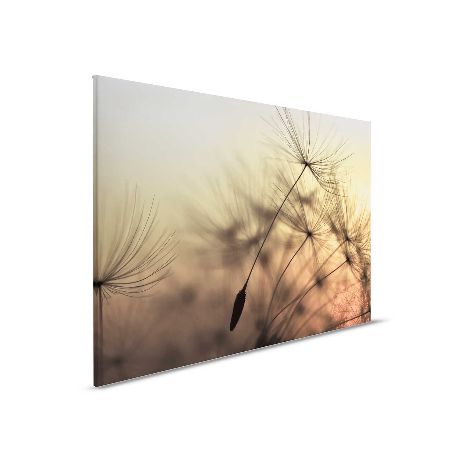         Canvas with flying dandelion in sunset - 0.90 m x 0.60 m
    