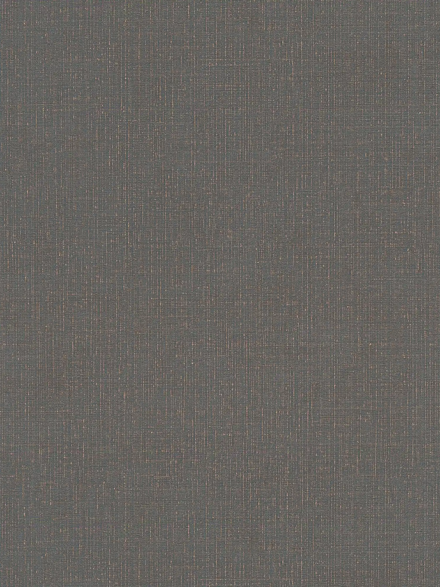 Papel pintado de aspecto textil antracita con estructura de lino - negro, gris
