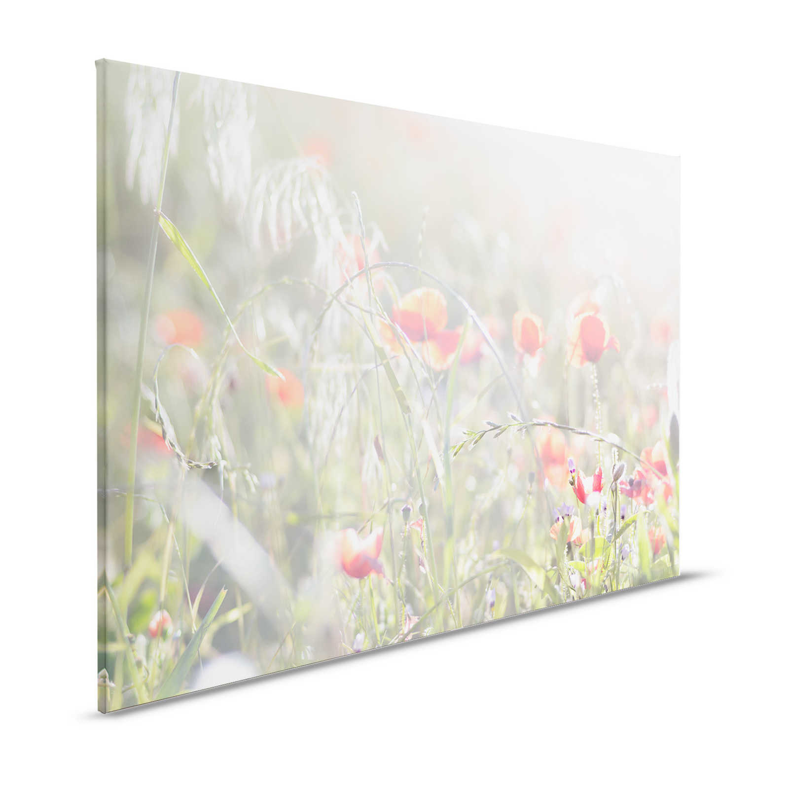 Canvas painting Poppies - 1.20 m x 0.80 m
