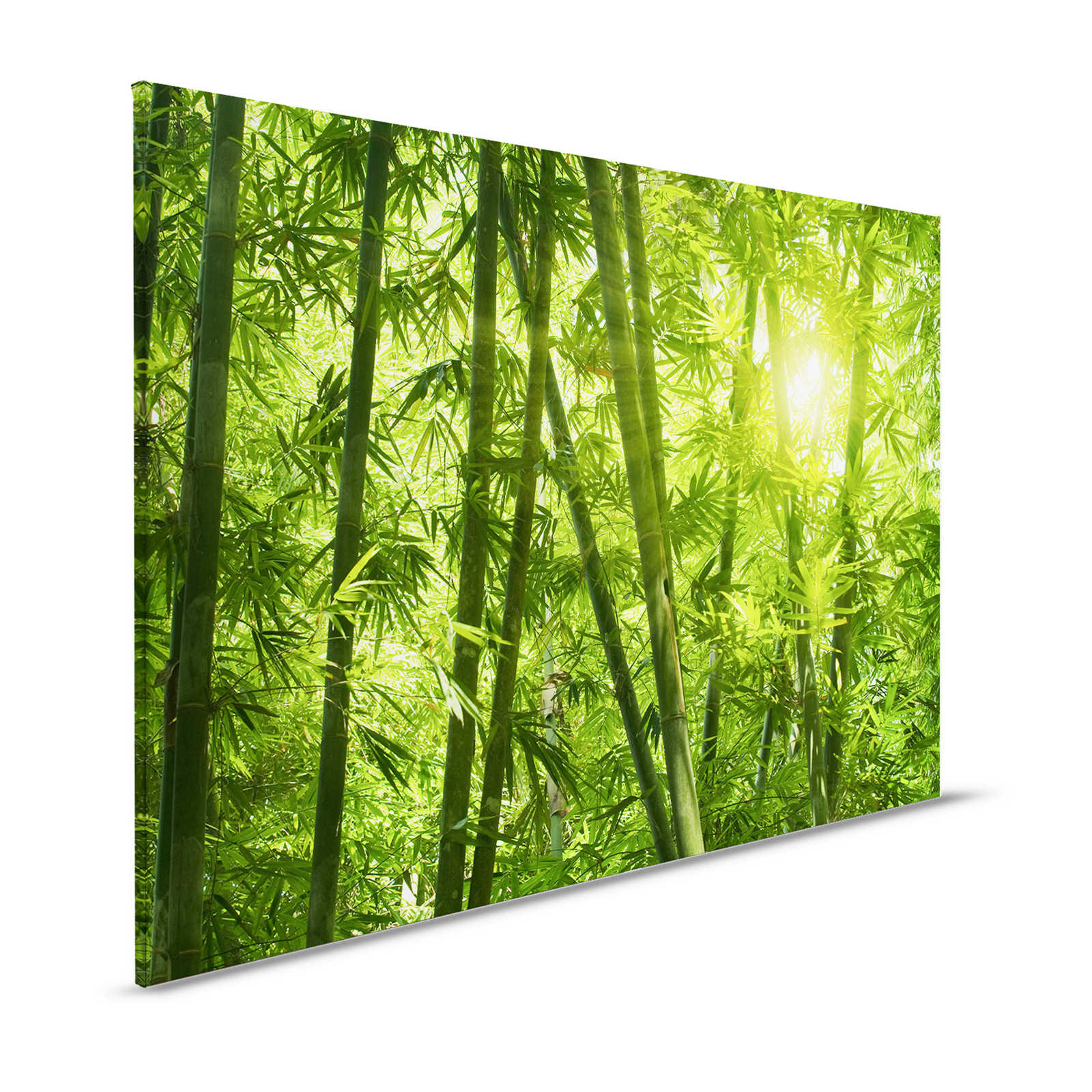 Canvas schilderij Bamboe en bladeren - 1,20 m x 0,80 m
