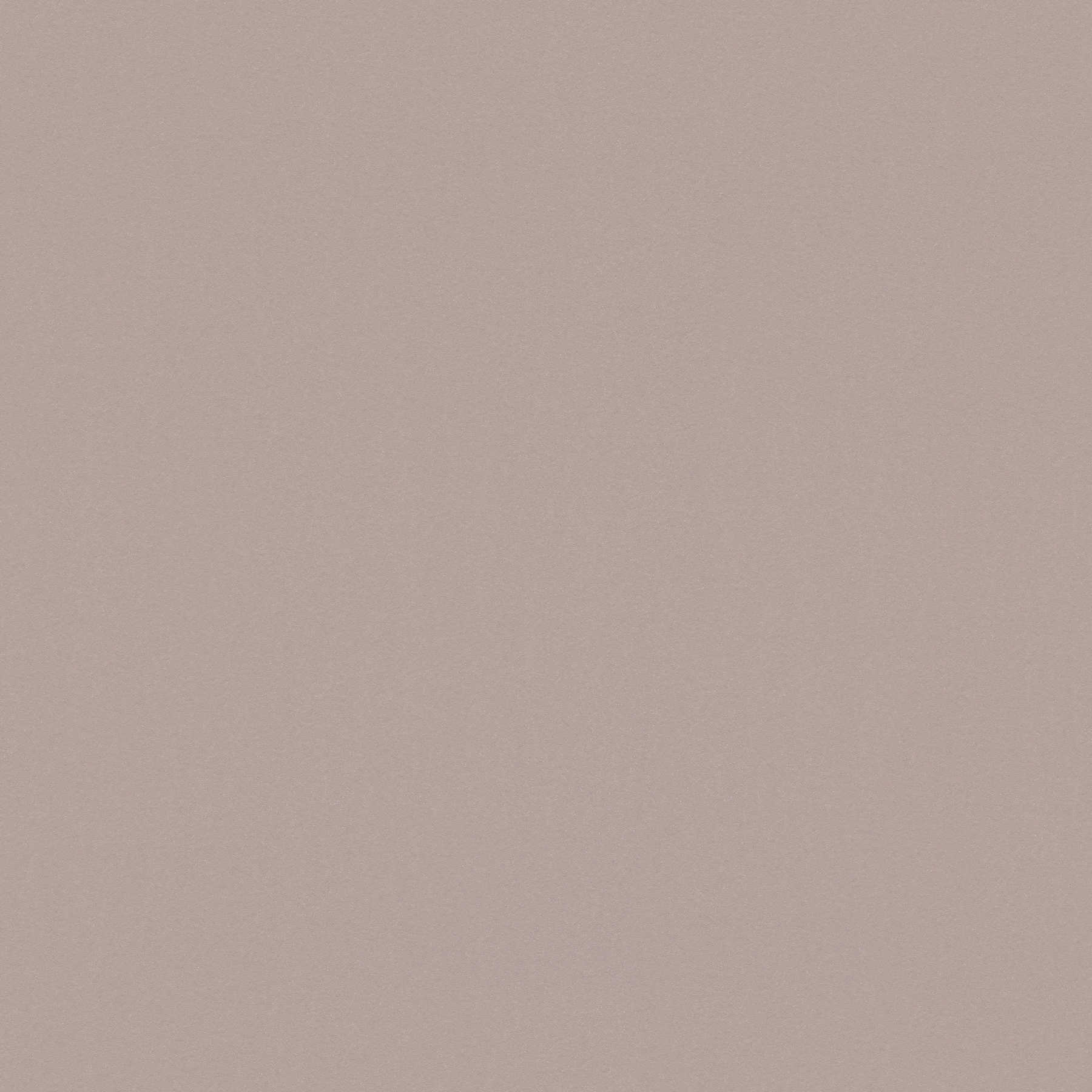         Light brown non-woven wallpaper plain, matte & natural colour - grey
    