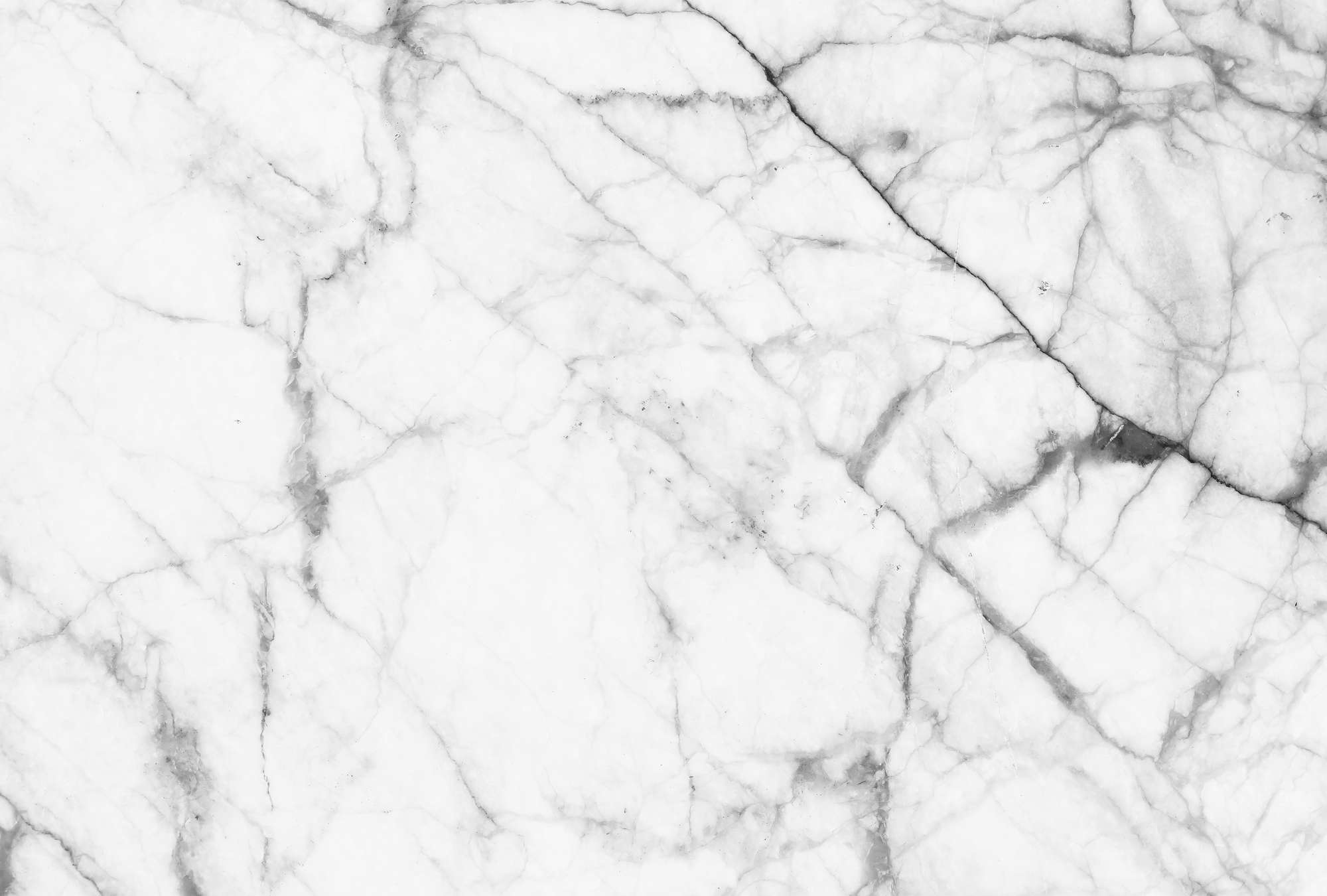             Black and white photo wallpaper marble with natural details
        