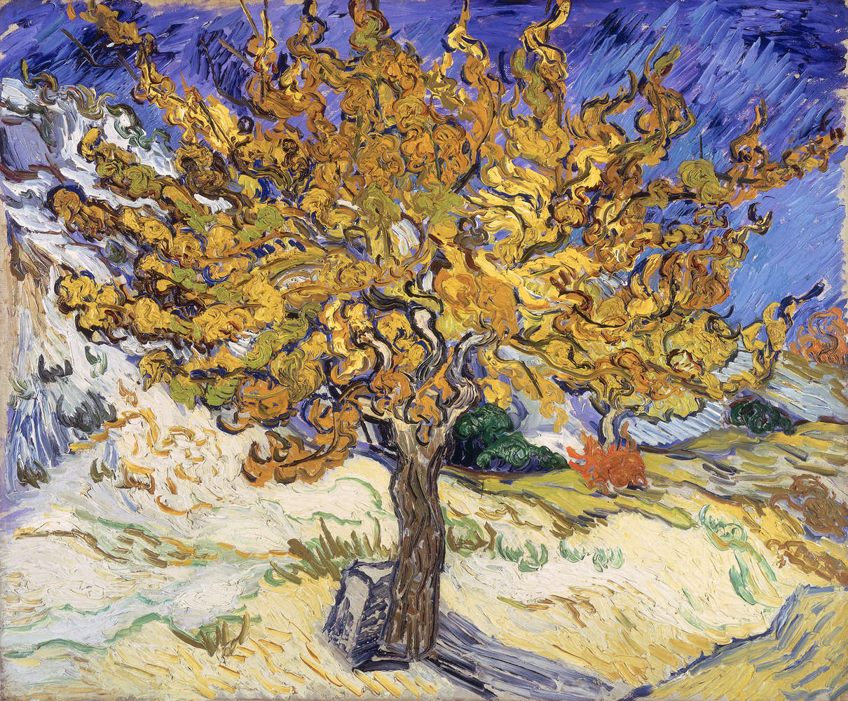             Photo wallpaper "Mulberry tree" by Vincent van Gogh
        