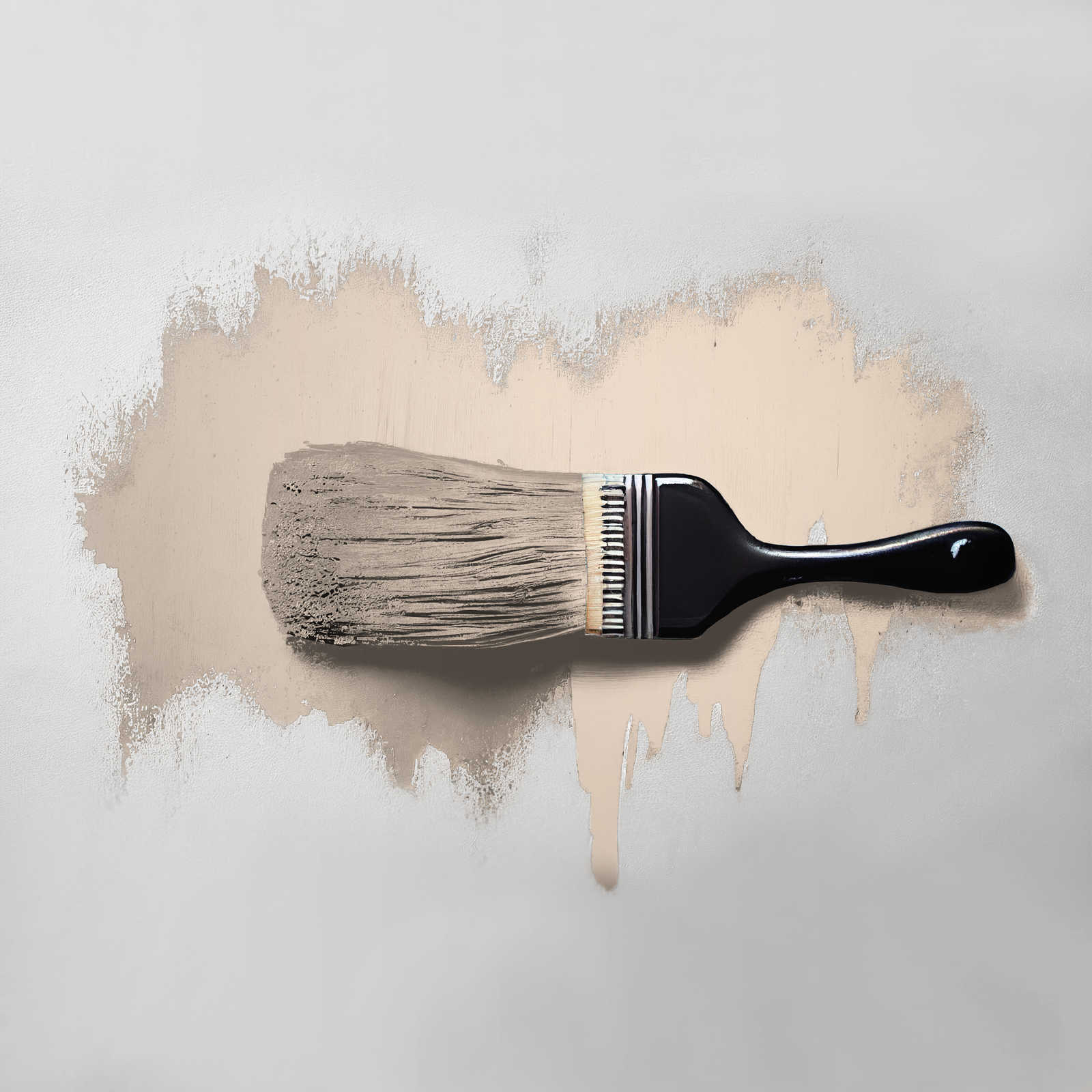            Pintura mural TCK6020 »Chalky Chickpeas« en beige claro fresco – 2,5 litro
        