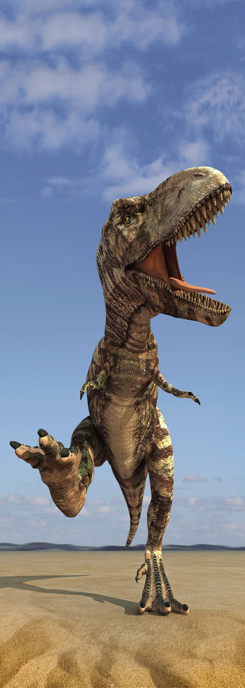             Kinderbehang Dinosaurus motief op parelmoer gladde vacht
        