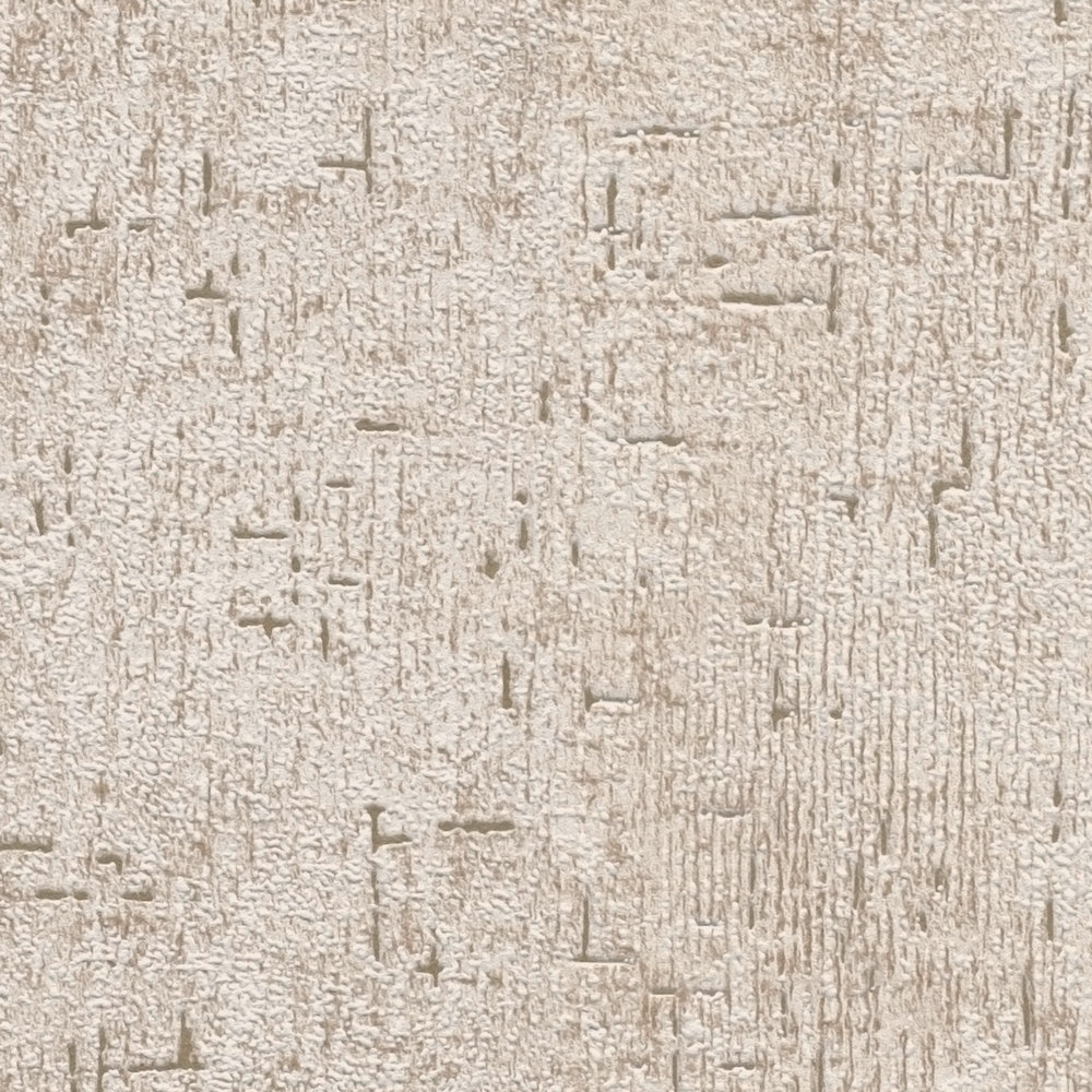             Non-woven wallpaper rustic plaster structure - beige, brown
        