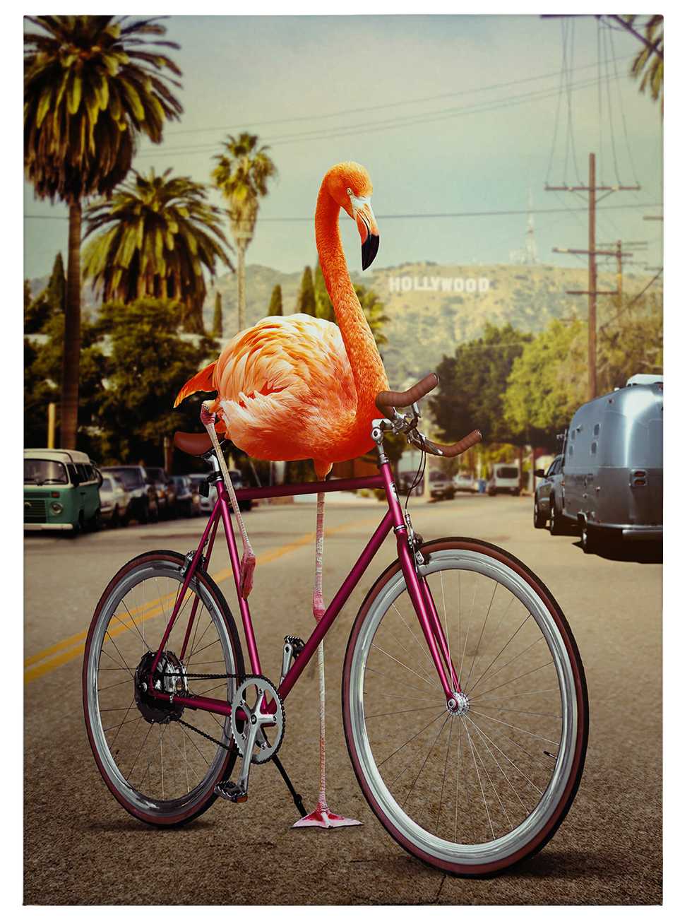             Canvas print flamingo on a bicycle by Loose – rosa
        