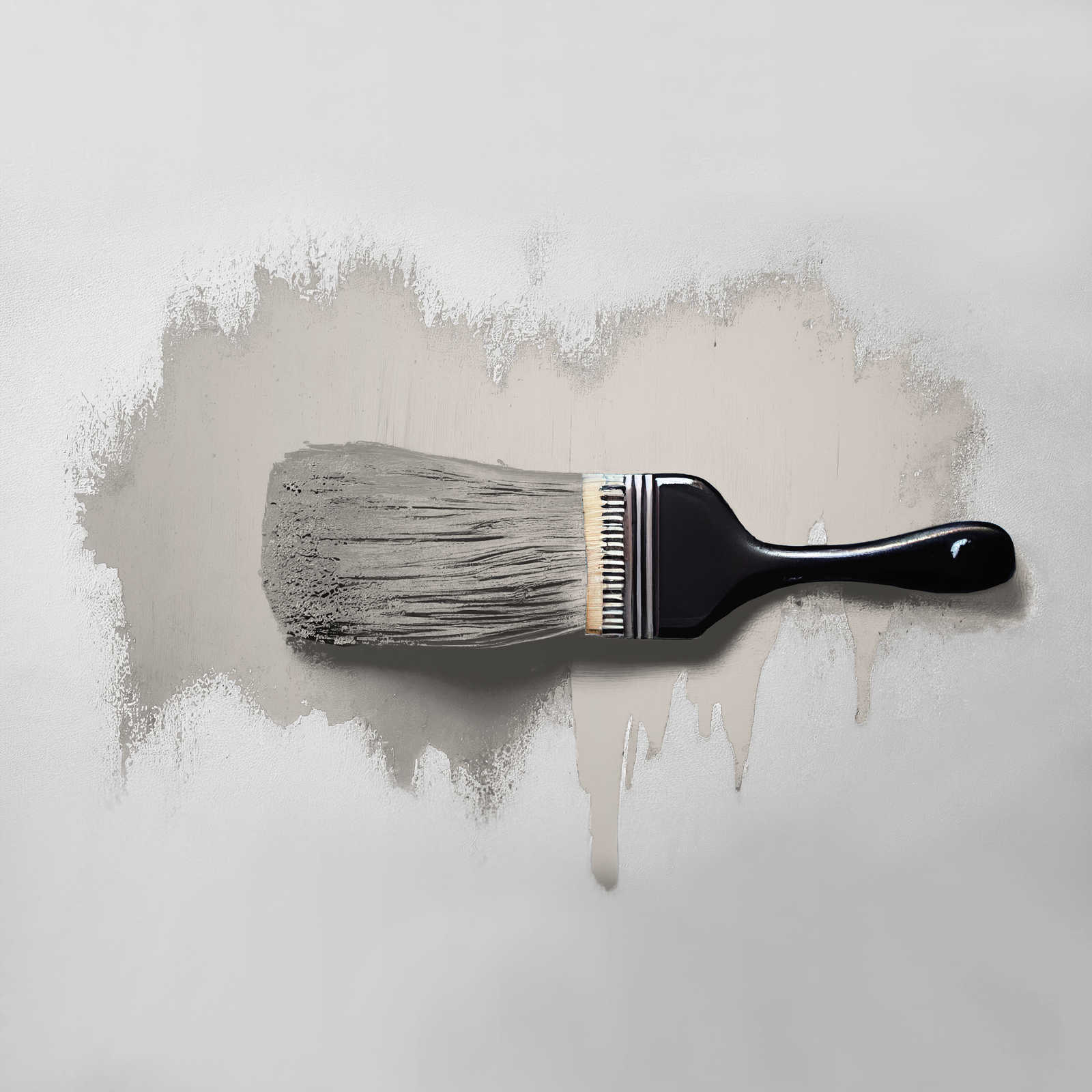             Pintura mural TCK1017 »Oyster Mushroom« en color topo claro – 2,5 litro
        
