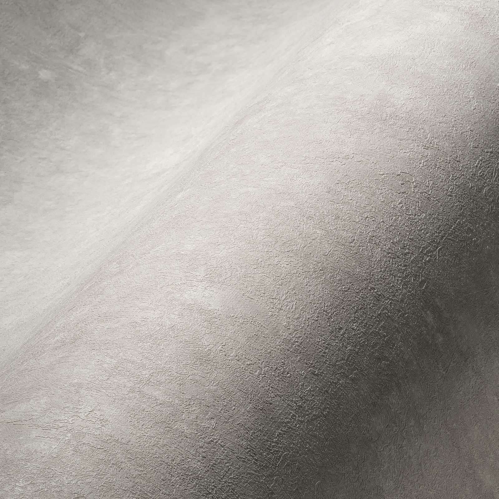             Plaster look wallpaper with texture effect in light grey
        