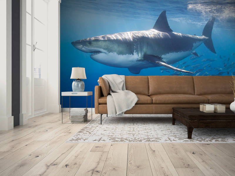             Great white shark - animal portrait mural
        