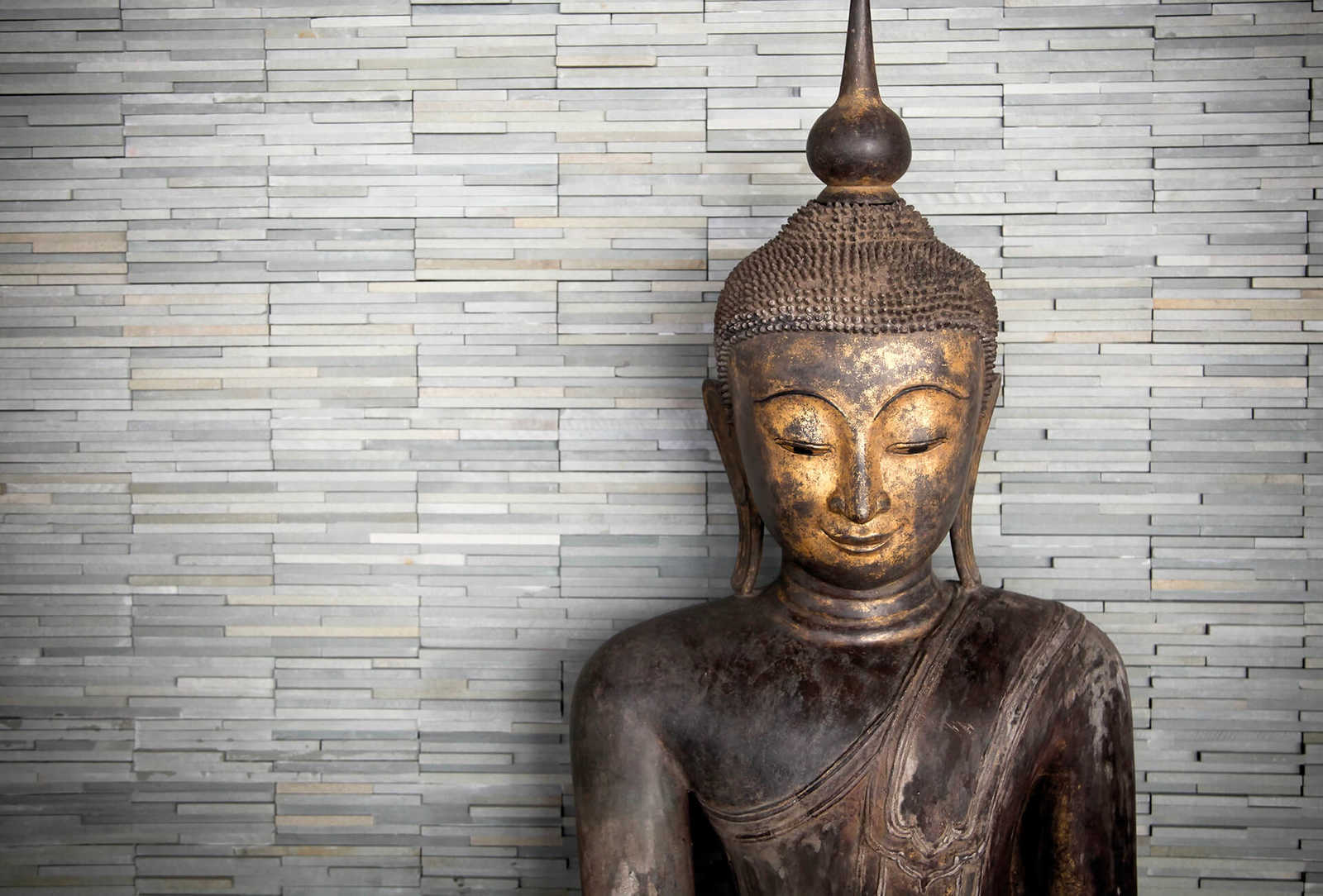         Photo wallpaper Buddha with plain colours
    
