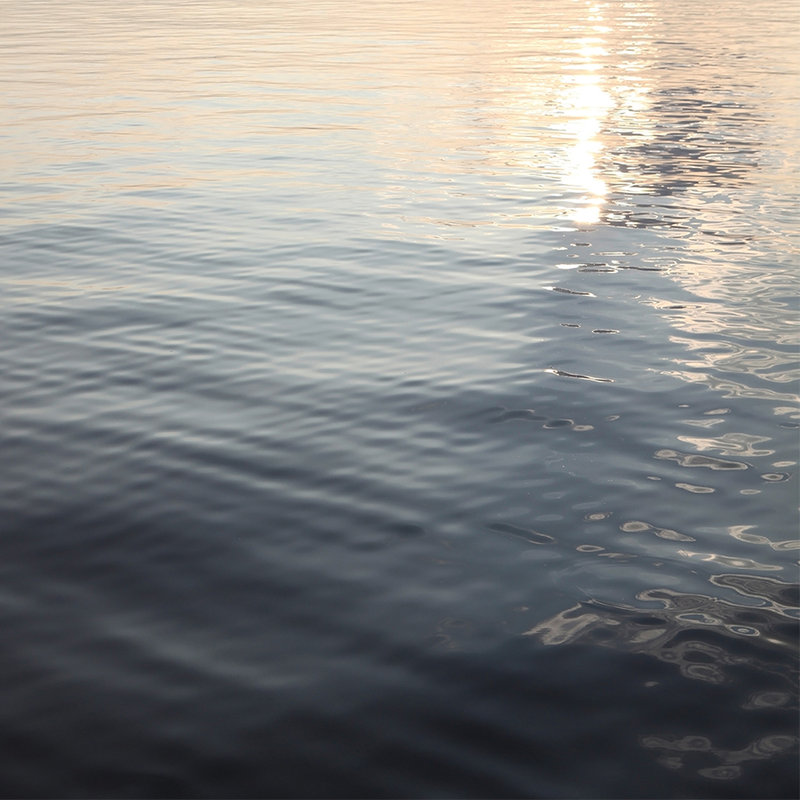 Fotomural Lago tranquilo - tejido no tejido nacarado liso
