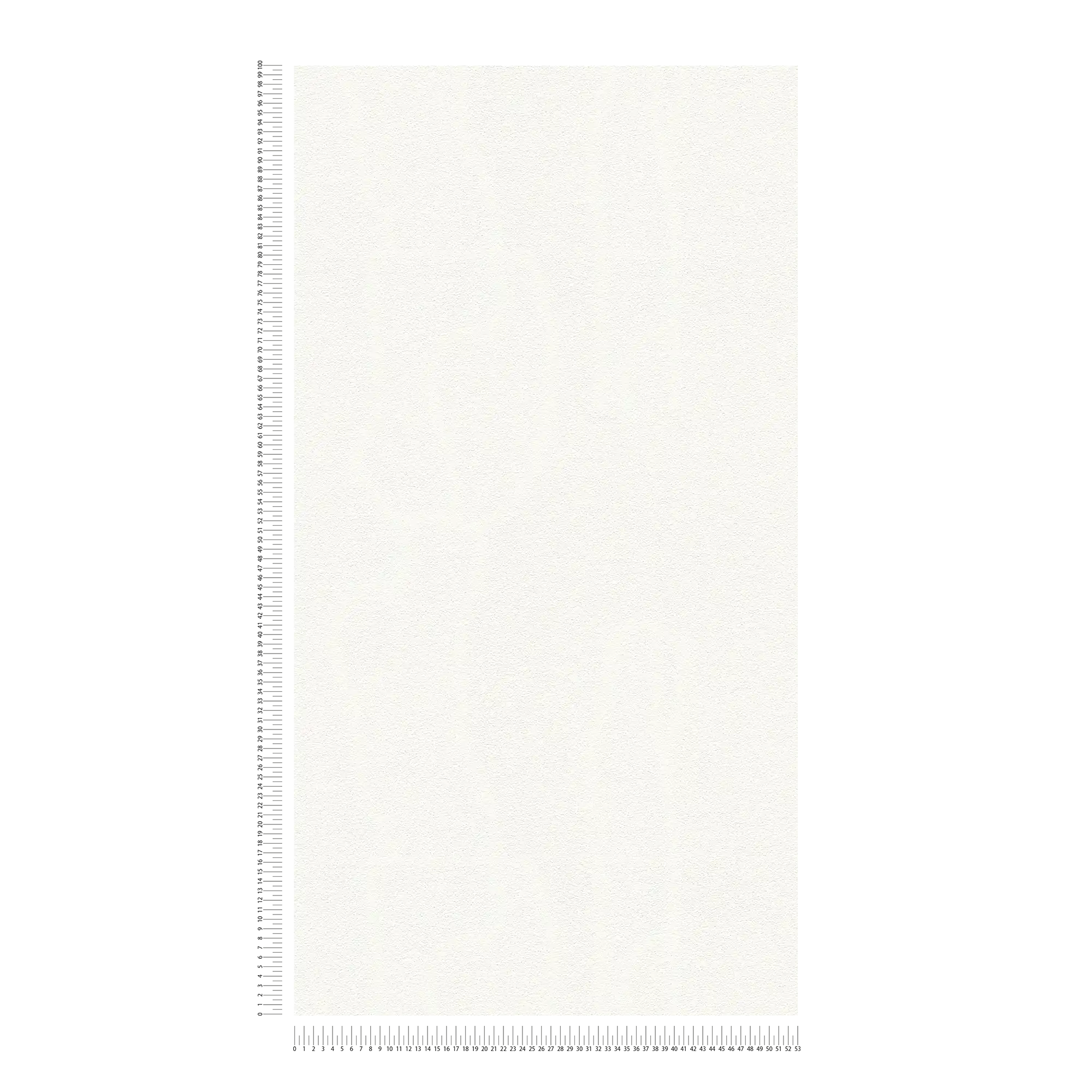             Papel pintado blanco liso con estructura de espuma bidimensional
        