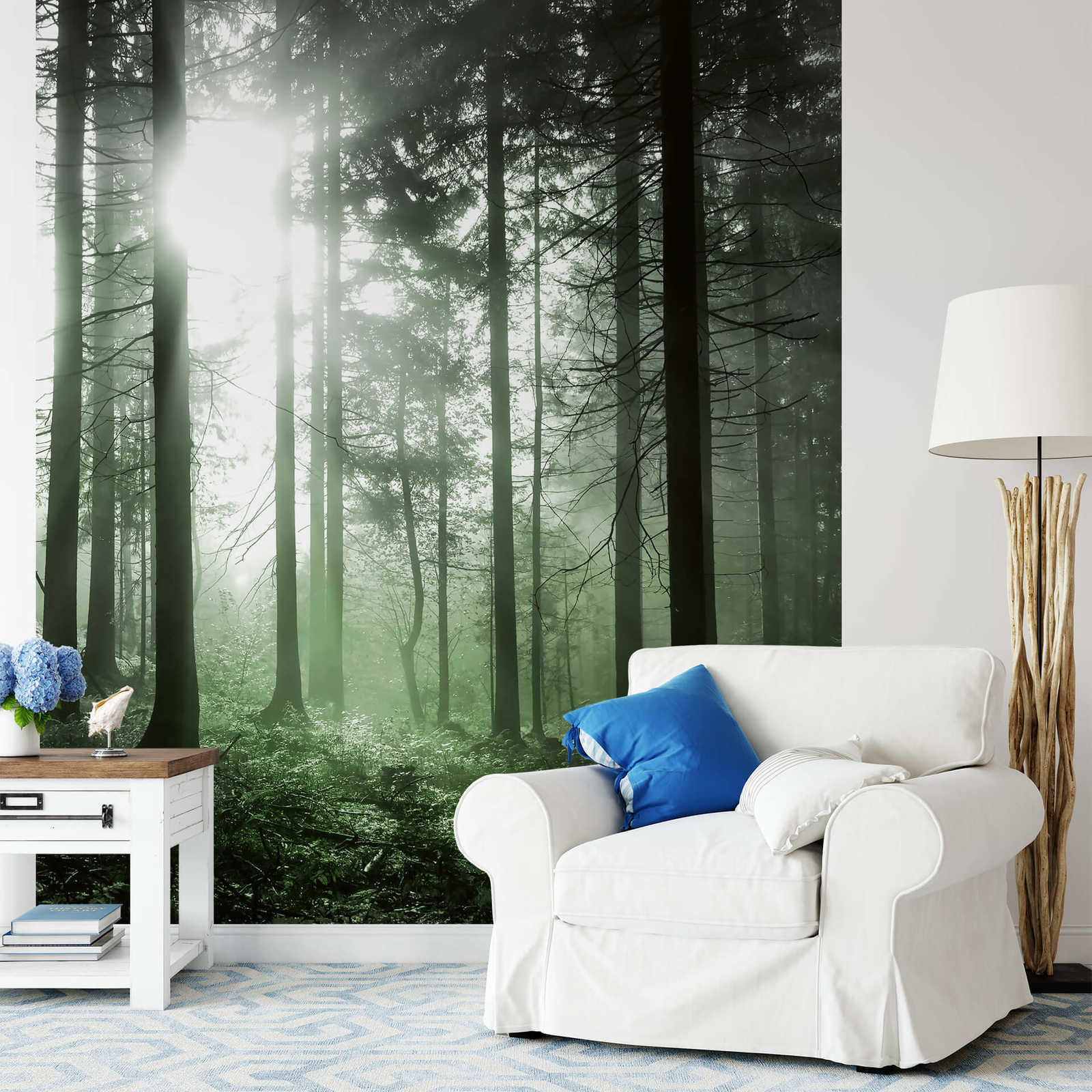             Photo wallpaper sunbeams in the forest - green, black, white
        