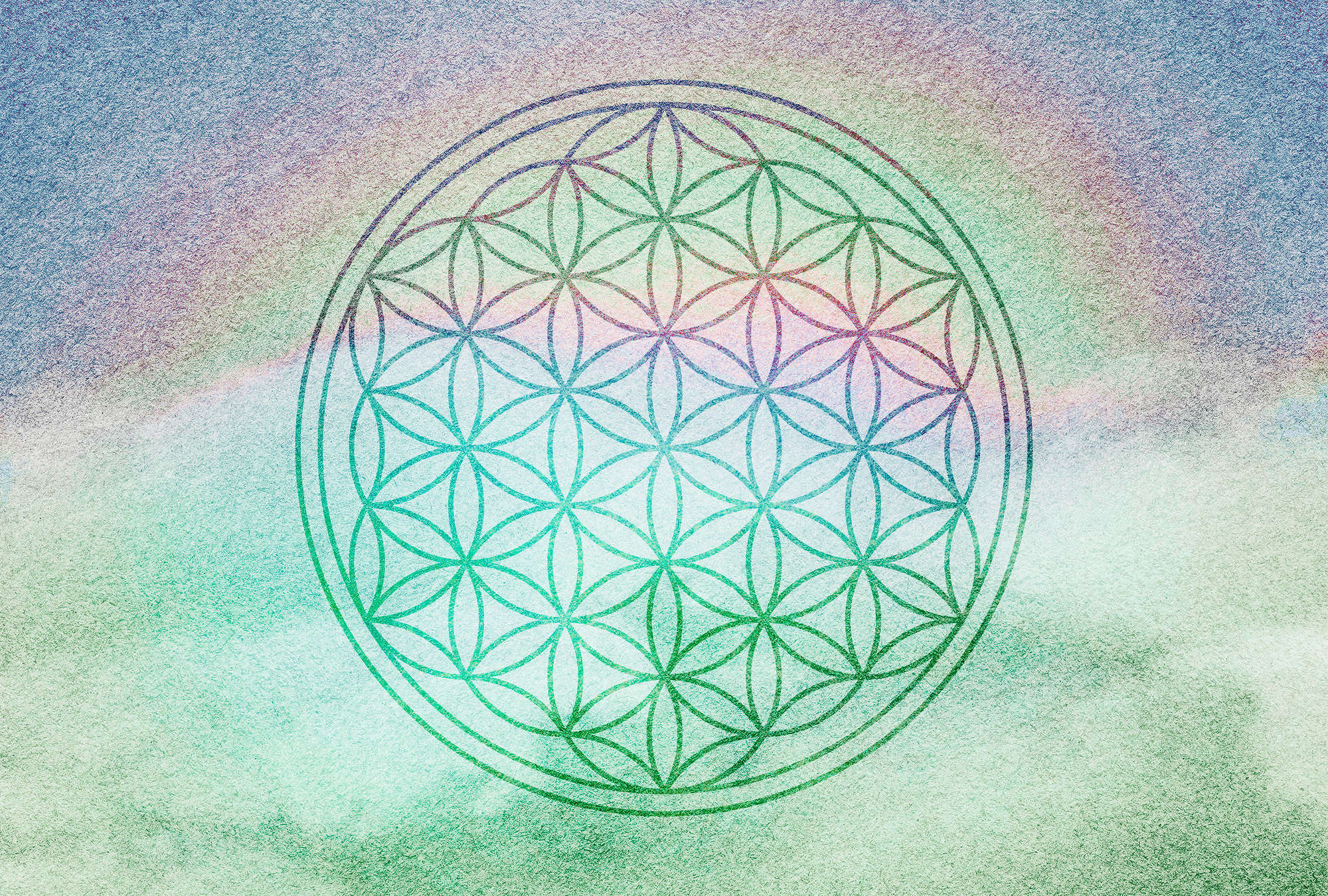             Papier peint Mandala aux couleurs de l'arc-en-ciel - vert, violet, rose
        