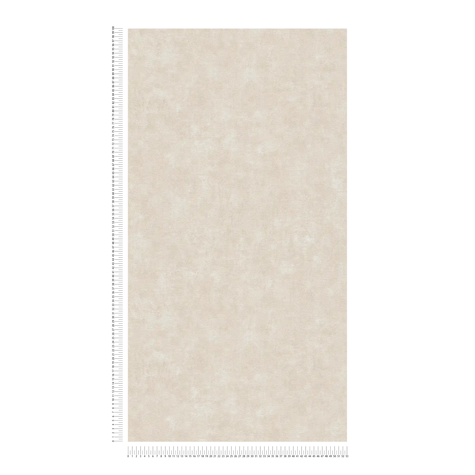             Non-woven wallpaper plains with concrete look and structure - cream, grey
        