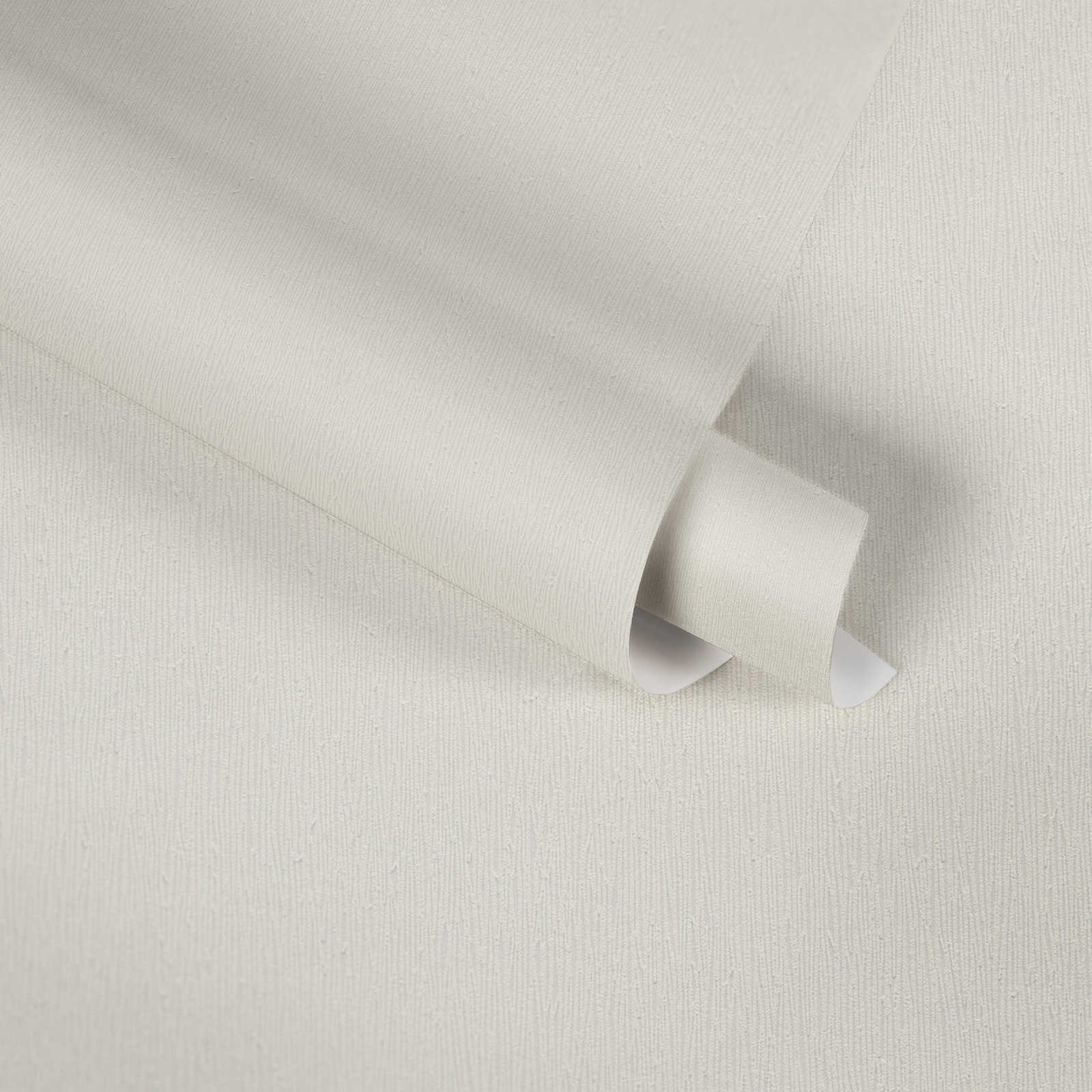             Papier peint intissé blanc avec motif structuré naturel ton sur ton
        