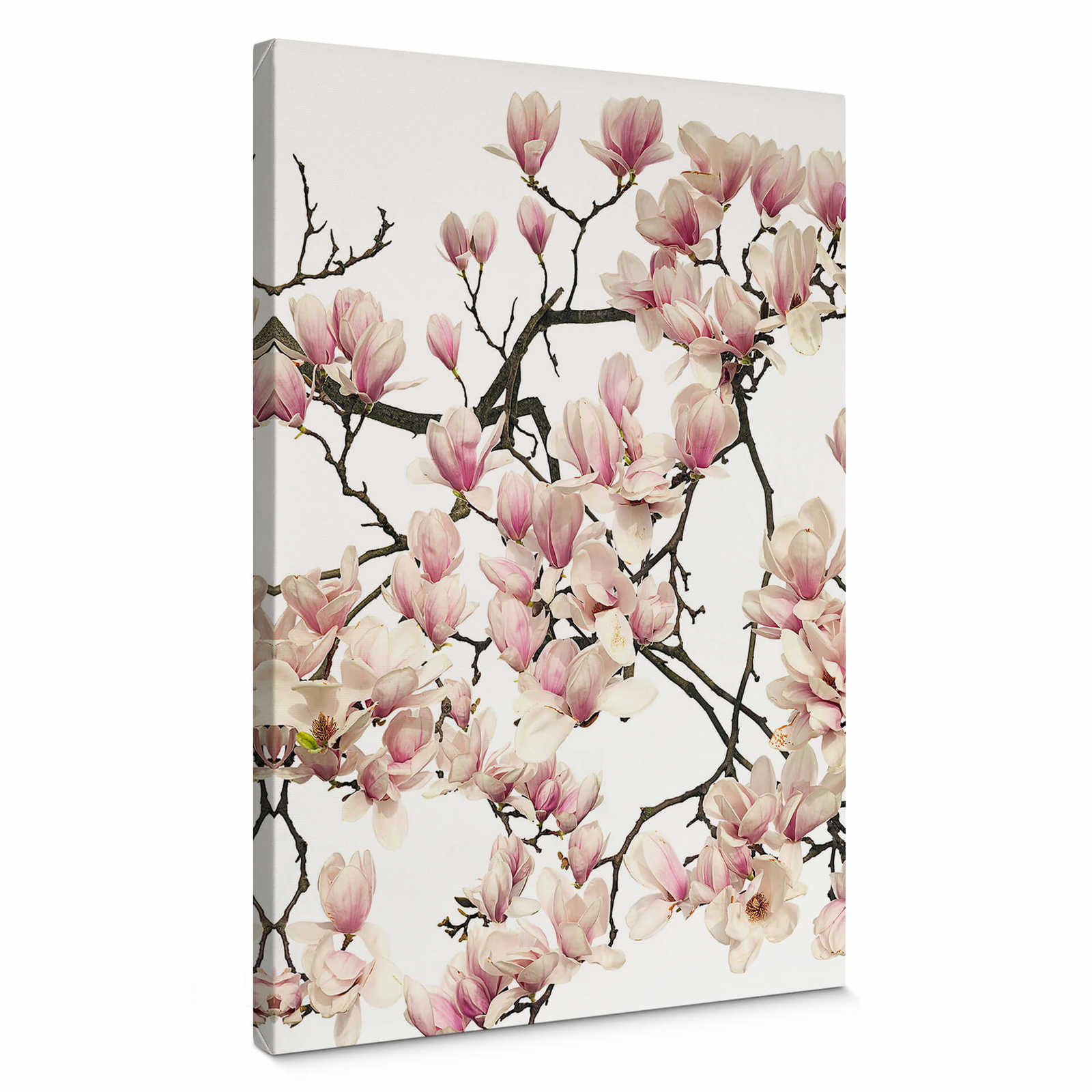 Kadam canvas print cherry blossom tree in spring – pink
